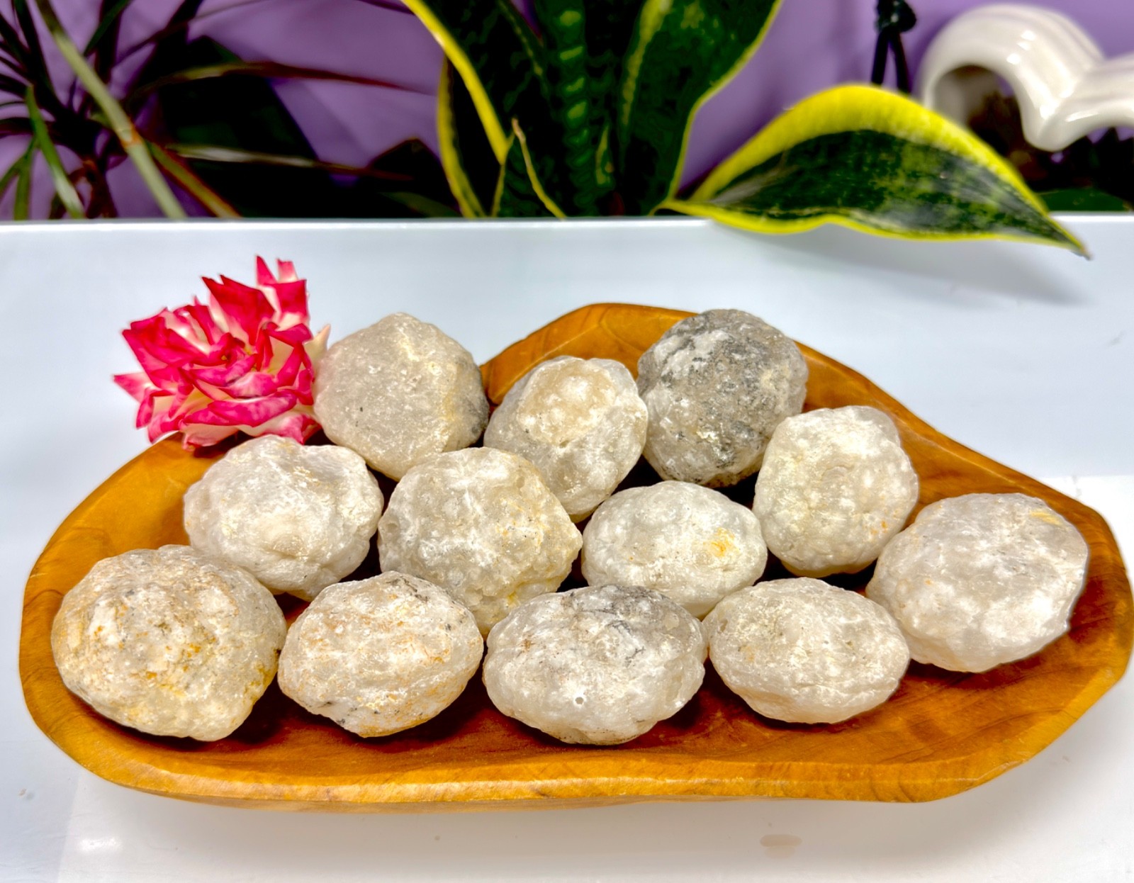 Wholesale Lot – 2 lbs Natural Unbroken Quartz Geode – 12 to 16 PCS