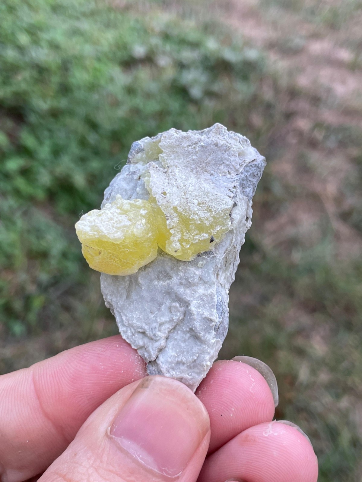 76grams Yellow Brucite Crystal (6pcs Lot) From Baluchistan Pakistan