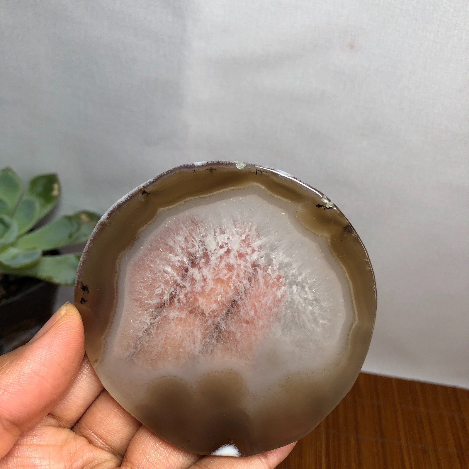 75mm Natural agate Slab/Slice quartz crystal pictographic specimen 72g g8073