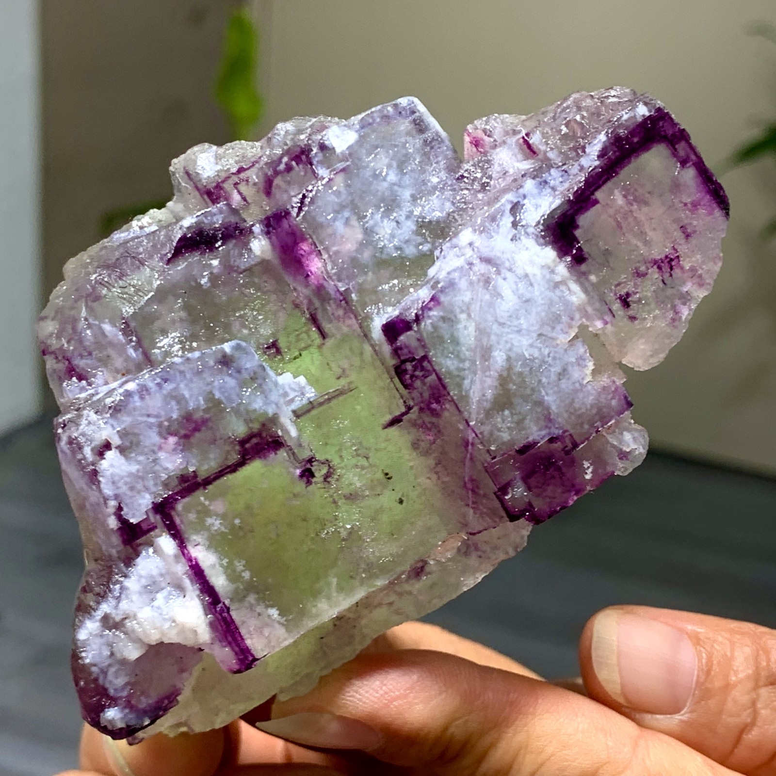 290G Natural Purple Edge green Fluorite Crystal Mineral Specimen/Guizhou