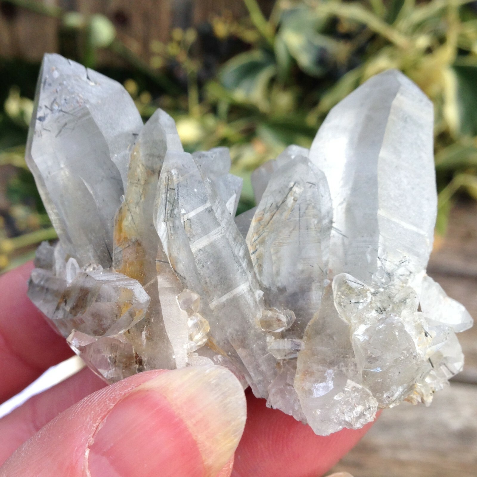 Quartz with Chlorite Crystal Cluster Connect to Nature Animals 66g 6×4.4×4.9cm