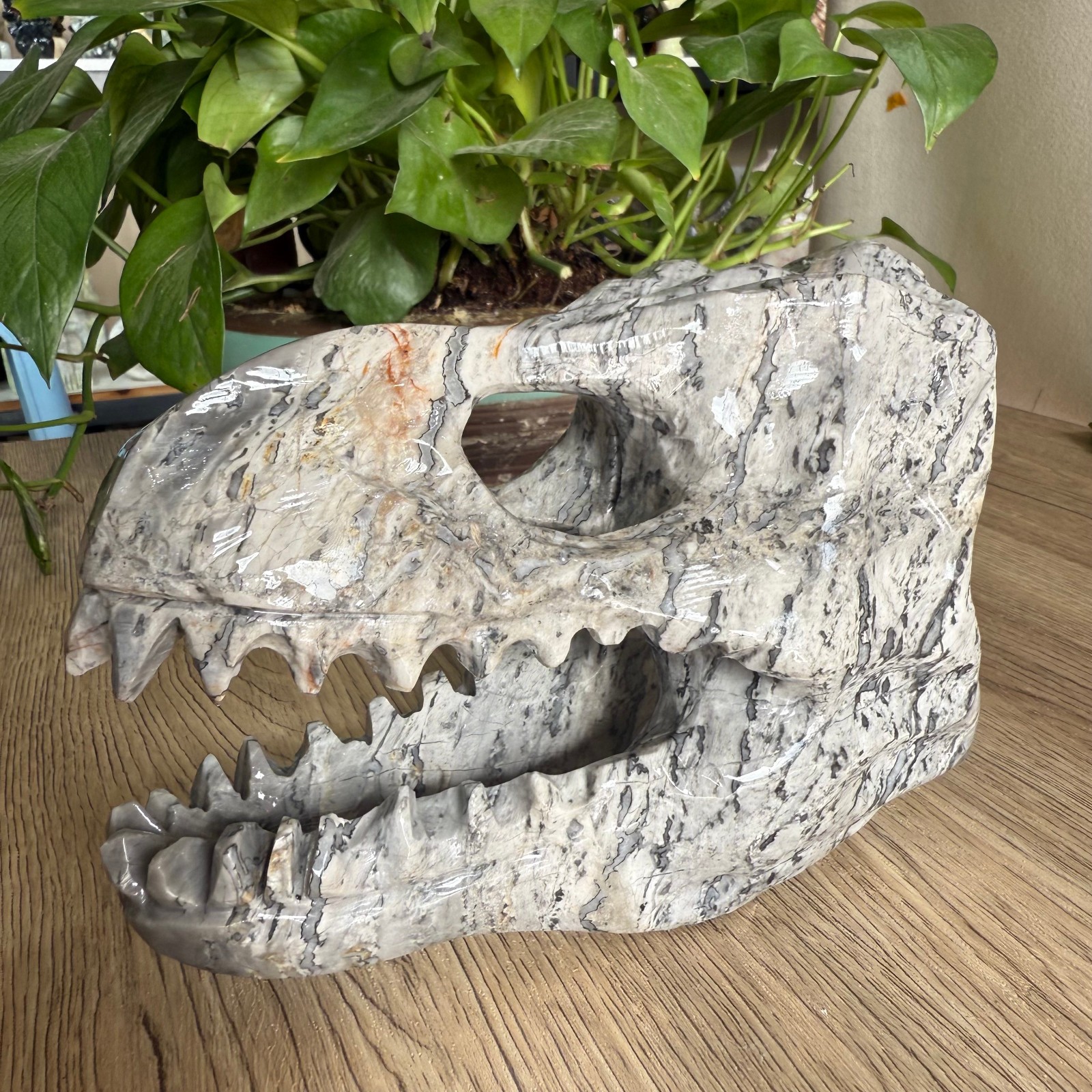 3LB natural Zebra stone Dinosaur skull carved Quartz Crystal reiki Gift
