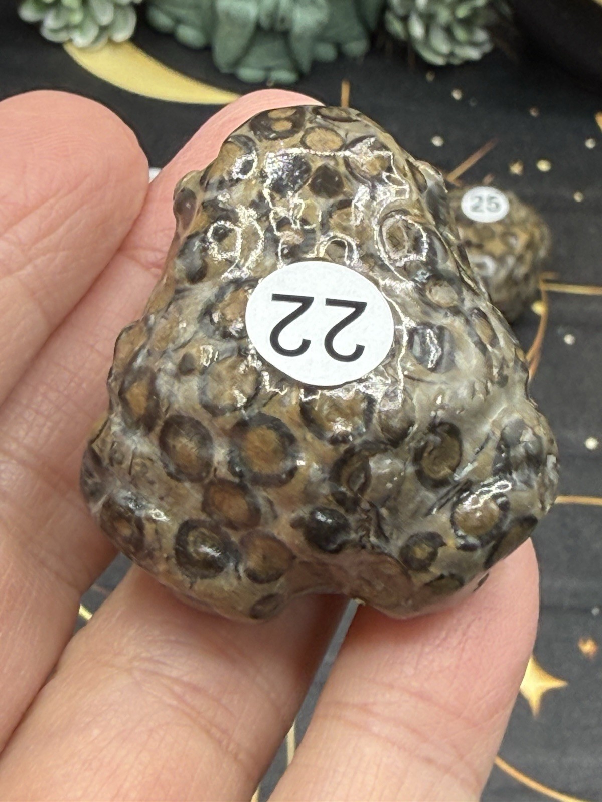 Natural Leopard Skin Japser Baby Toads O.M.G cute & Life like! Free shipping