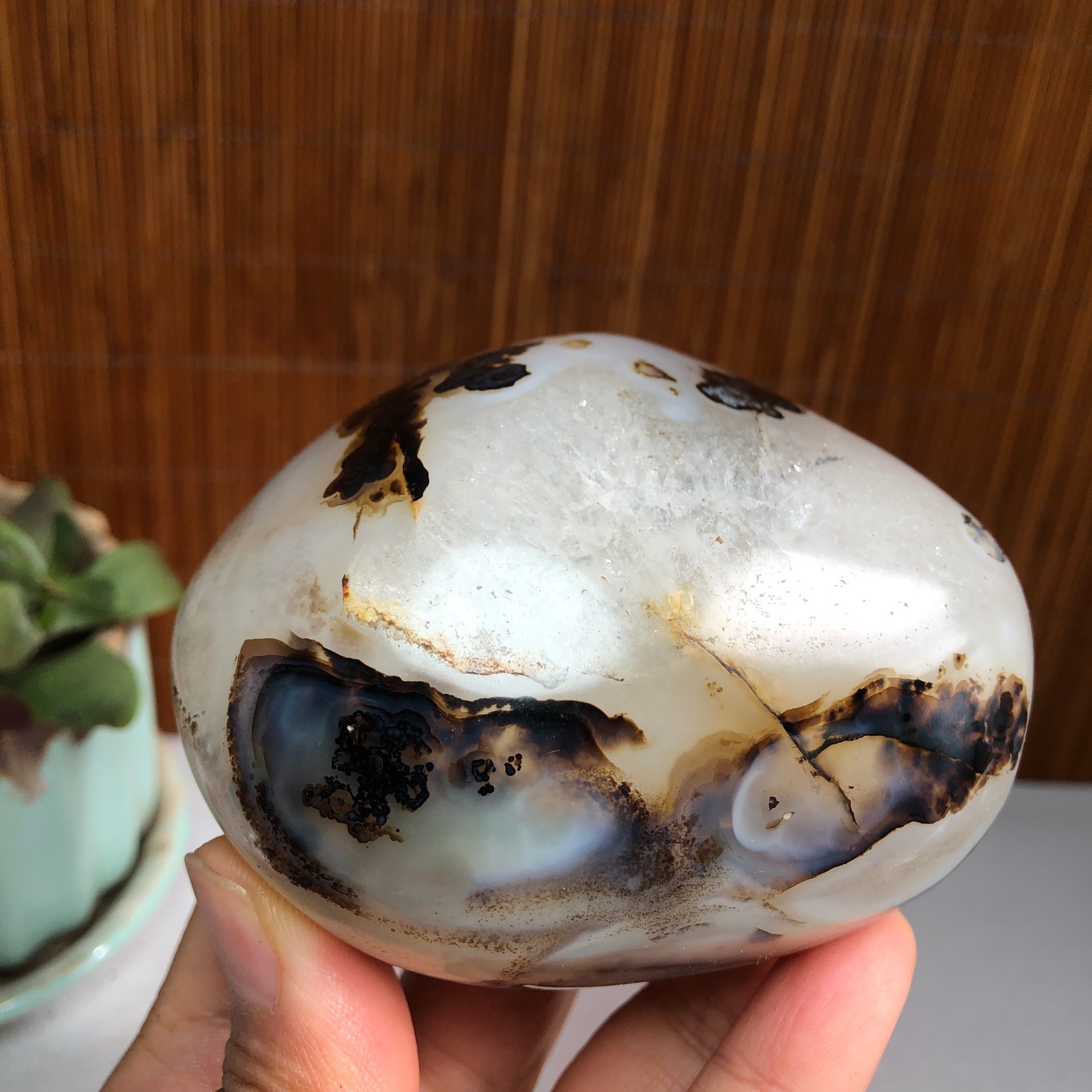 83mm Natural aquatic plants agate pretty Crystal specimens 427g A1482