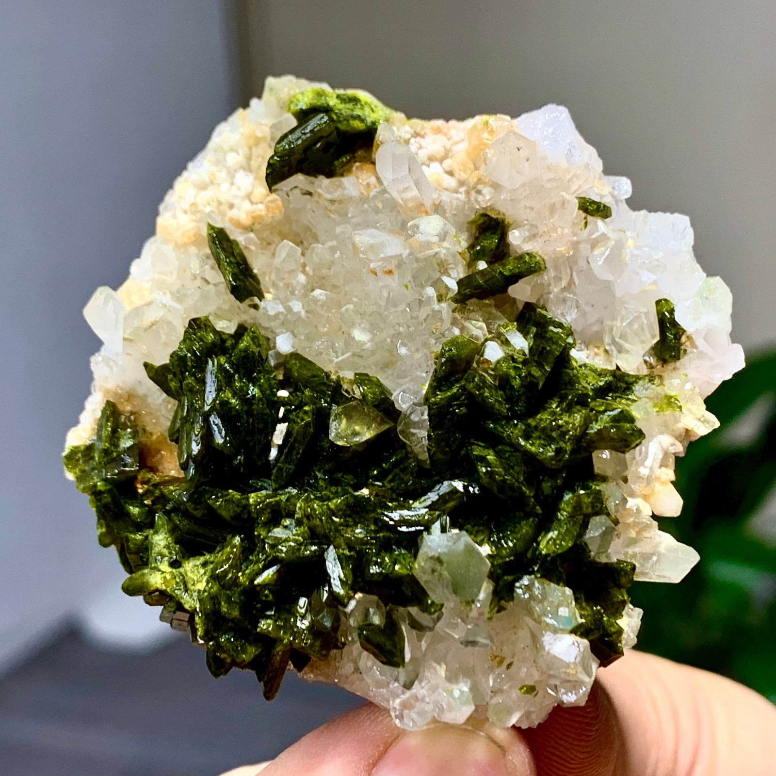 46g Natural Garden quartz cluster specimen tourmaline mineral healing SiChuan