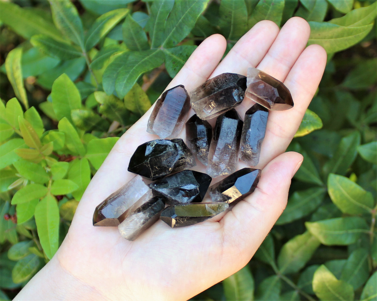 3 Large Smoky Quartz Points (1″ – 1.5″) (Raw Rough Smokey Quartz Points)