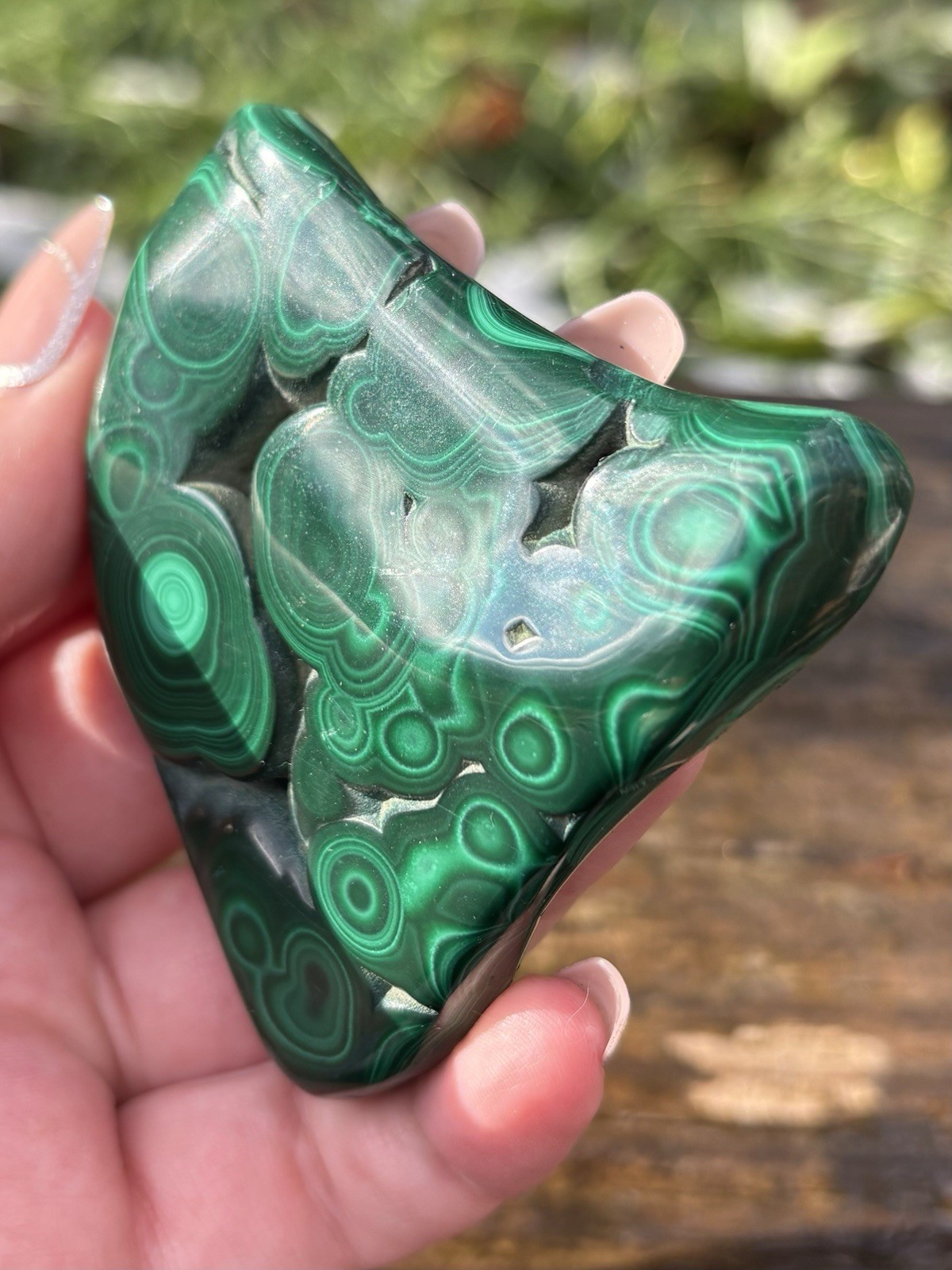 Polished Green Malachite Specimen- Natural 2.7” Banded Malachite Mineral Congo