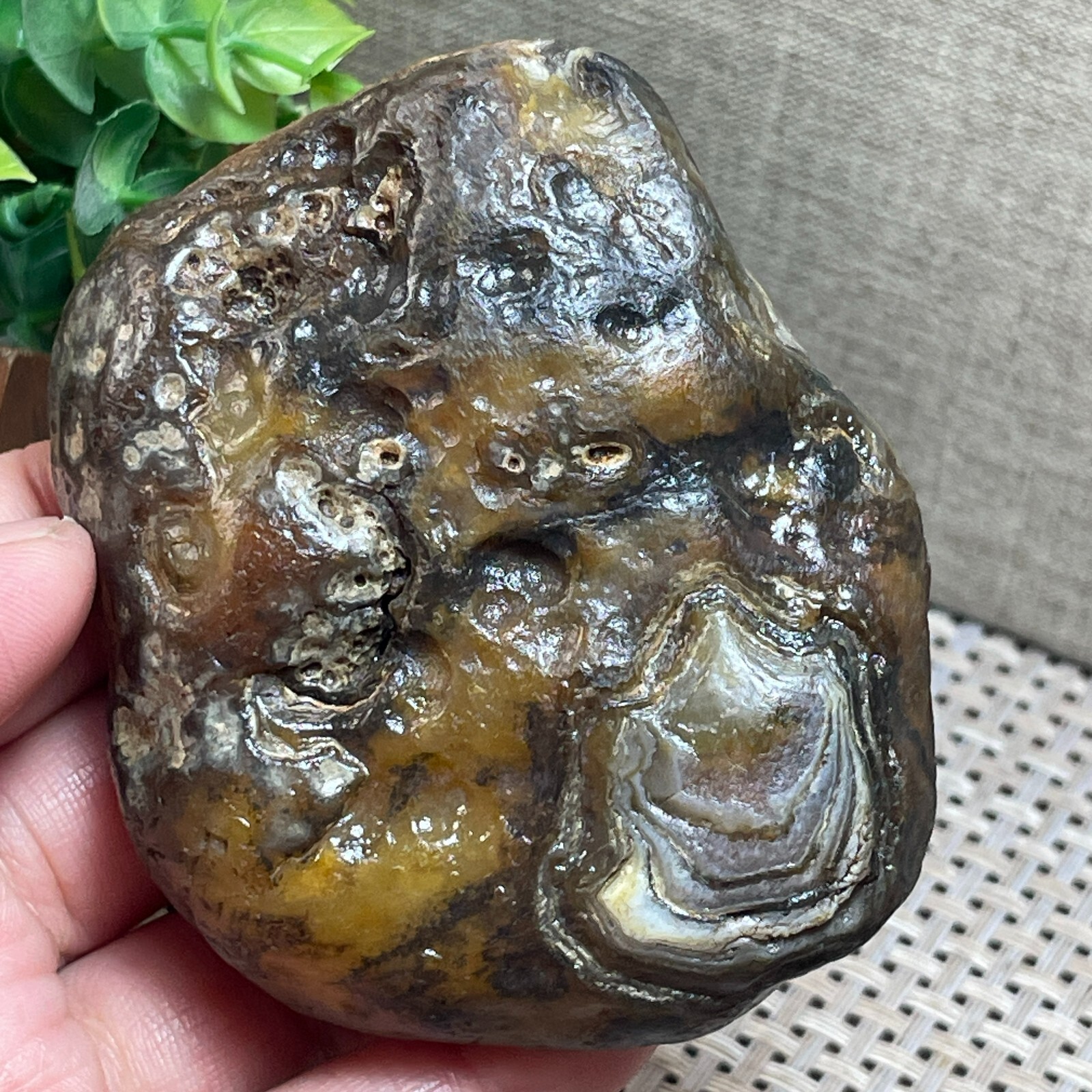 205g Beautiful ! Natural GoBi agate eye Agate Crystal Stone Specimen A362