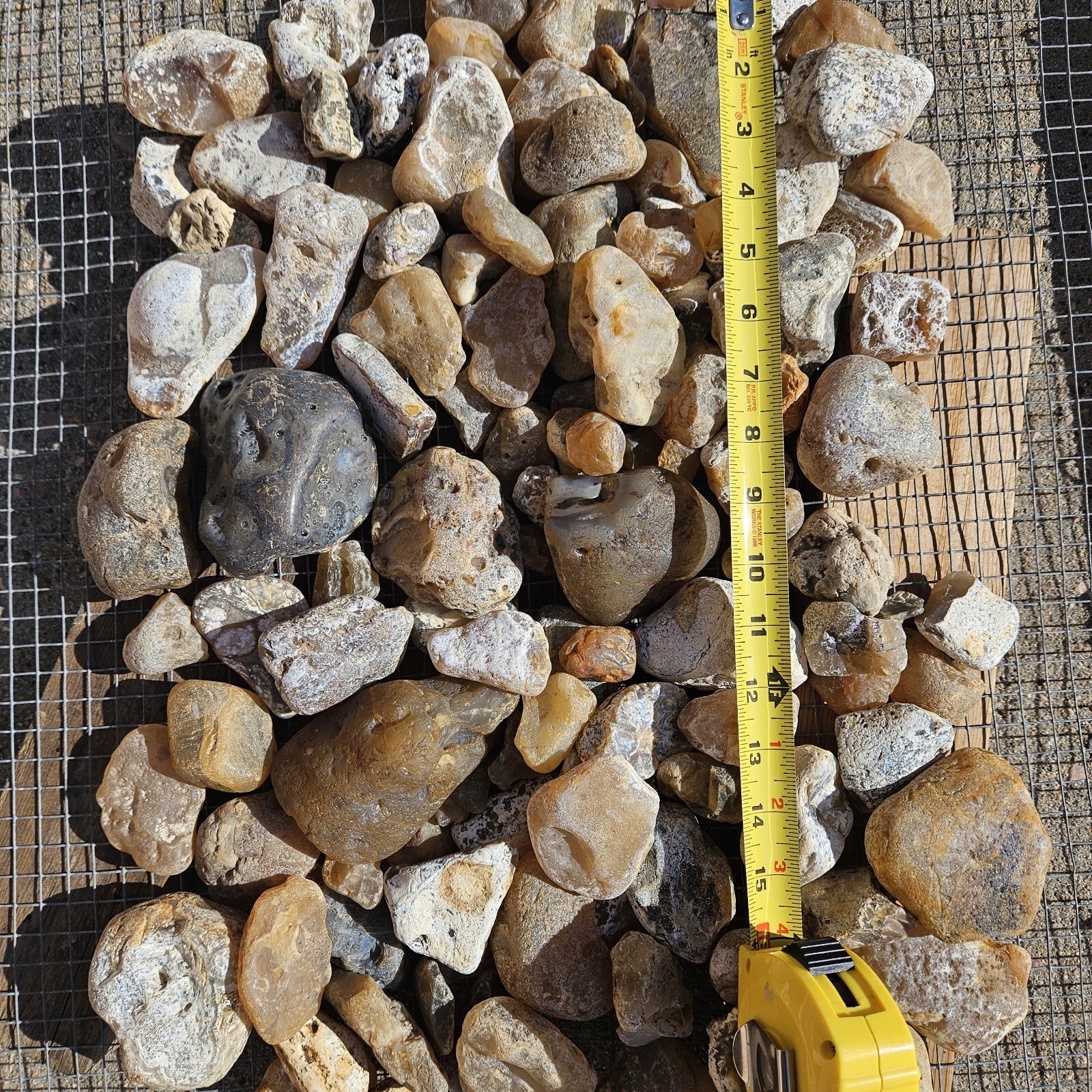 Montana Agate. Tumbling / Cutting Rough. 15 lb. lot. SHIPS FREE!