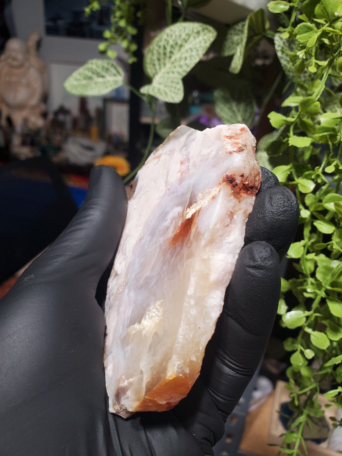 124g Beautiful Flower Agate Slice Slab Crystal Quartz Energy Healing Crystal