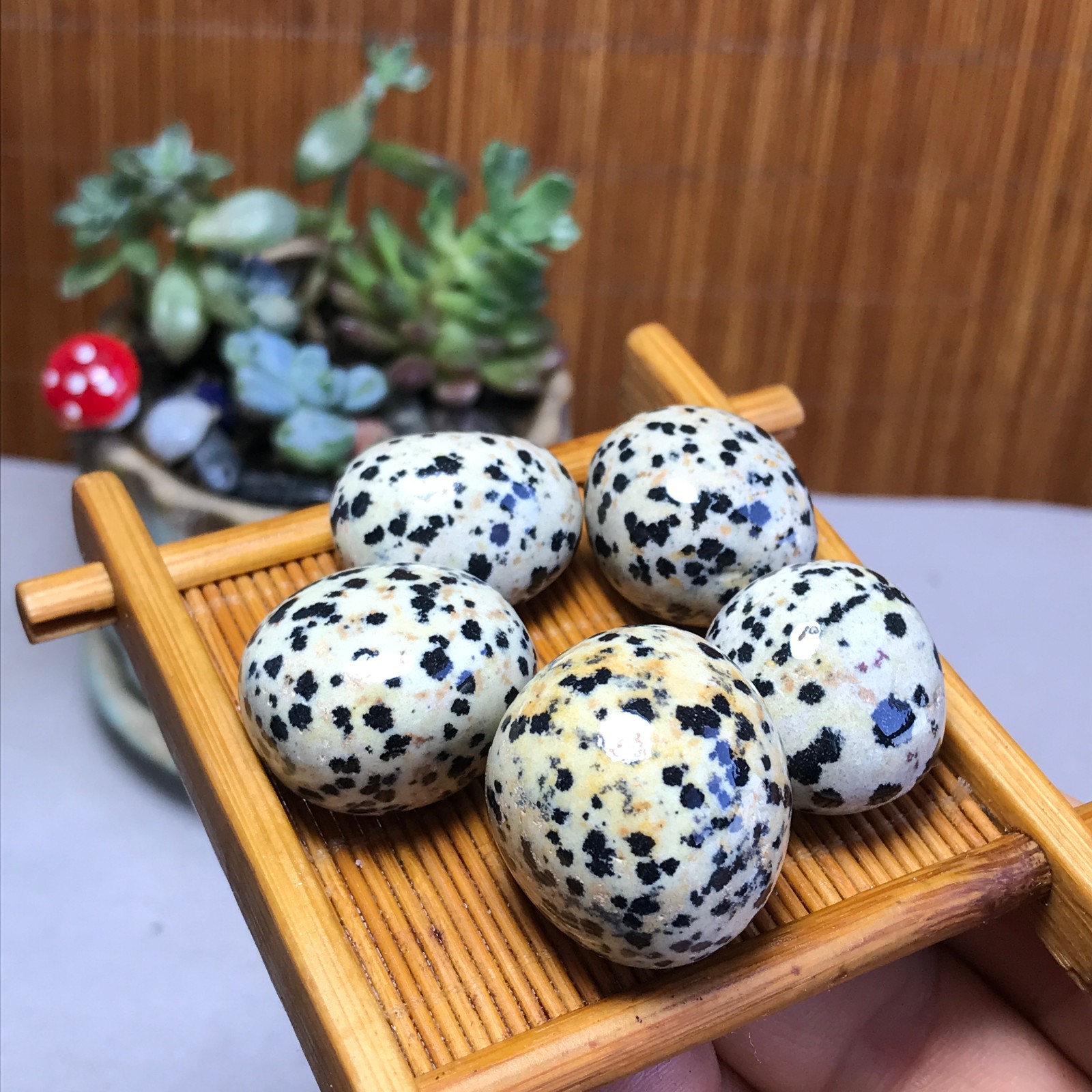 24-24-18mm 5Pcs Natural spotted stone Crystal gemstone Mineral Specimen A5717