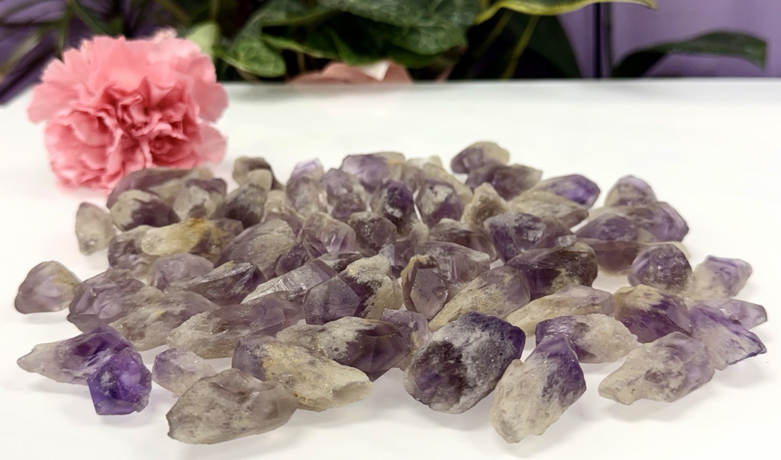 Wholesale 1 Lb Natural Amethyst W Pyramid Phantom Quartz Rough Crystal