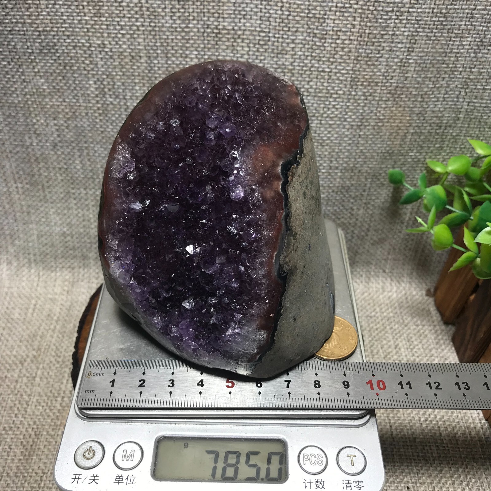 785g Natural Amethyst Cluster Geodes Cut Base Quartz Crystal Healing Specimen 66