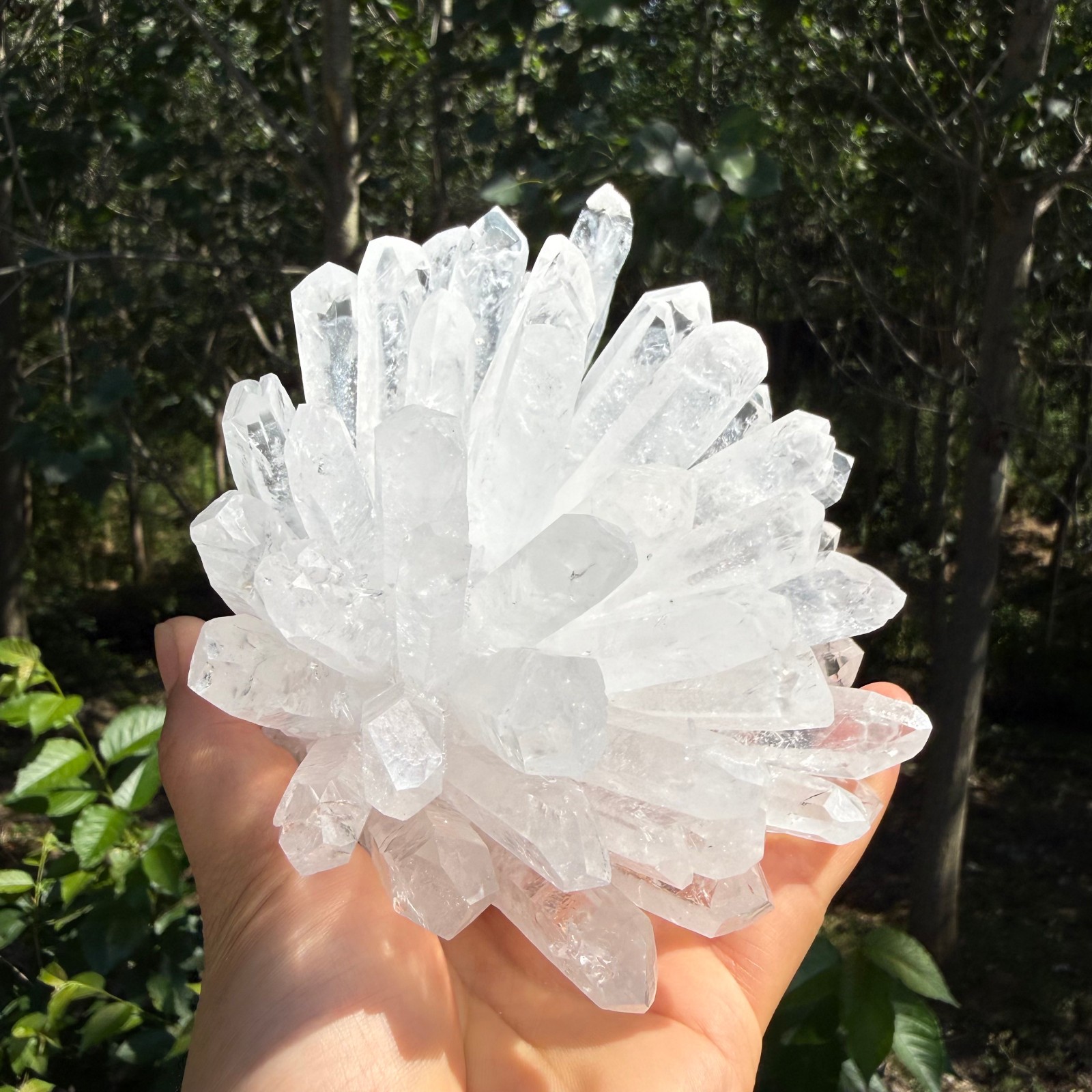 2.2LB Large Natural White Clear Quartz Cluster Crystal Mineral Healing 1pc