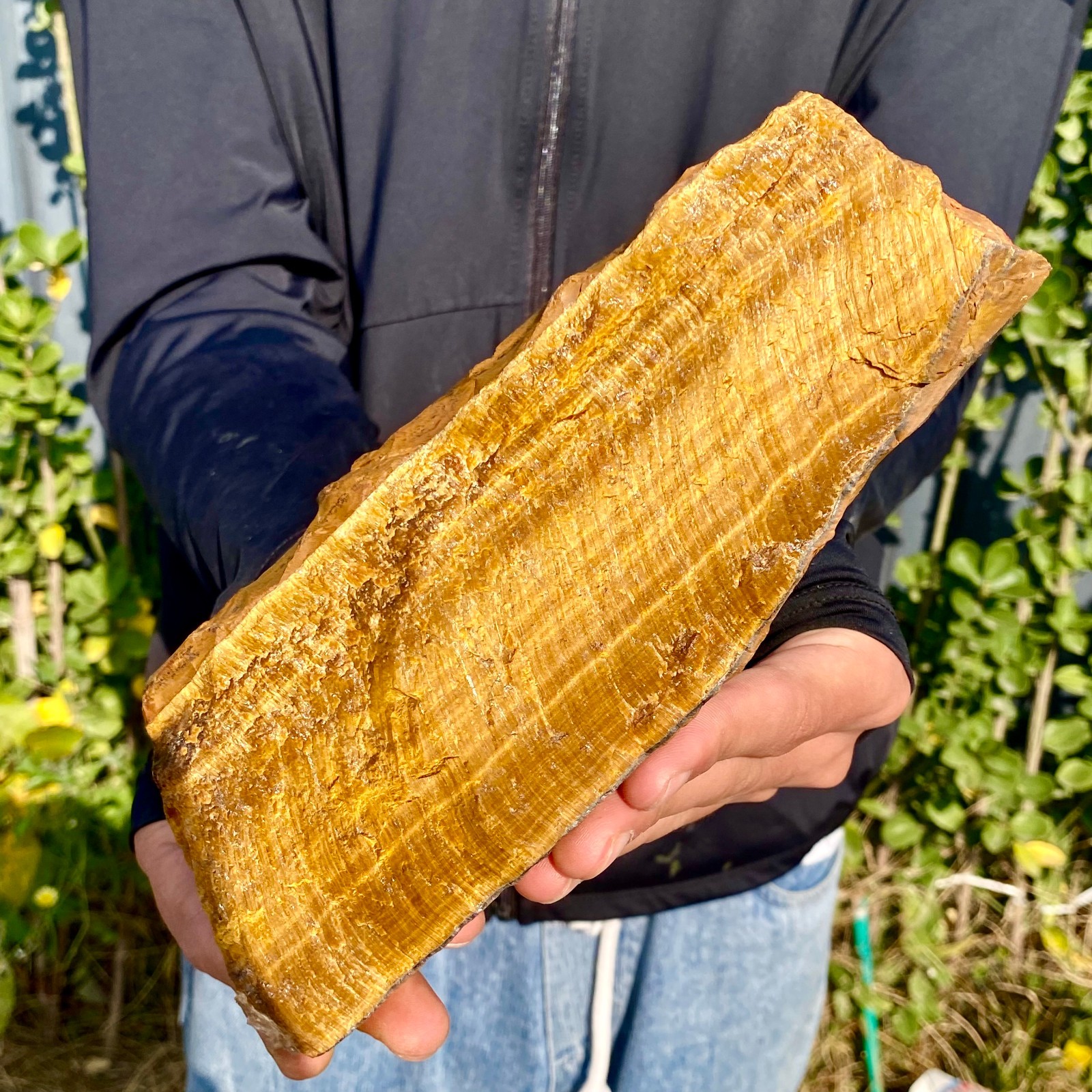 1.3LB Natural Tiger Eye Stone slice Quartz Crystal Polished Specimen healing