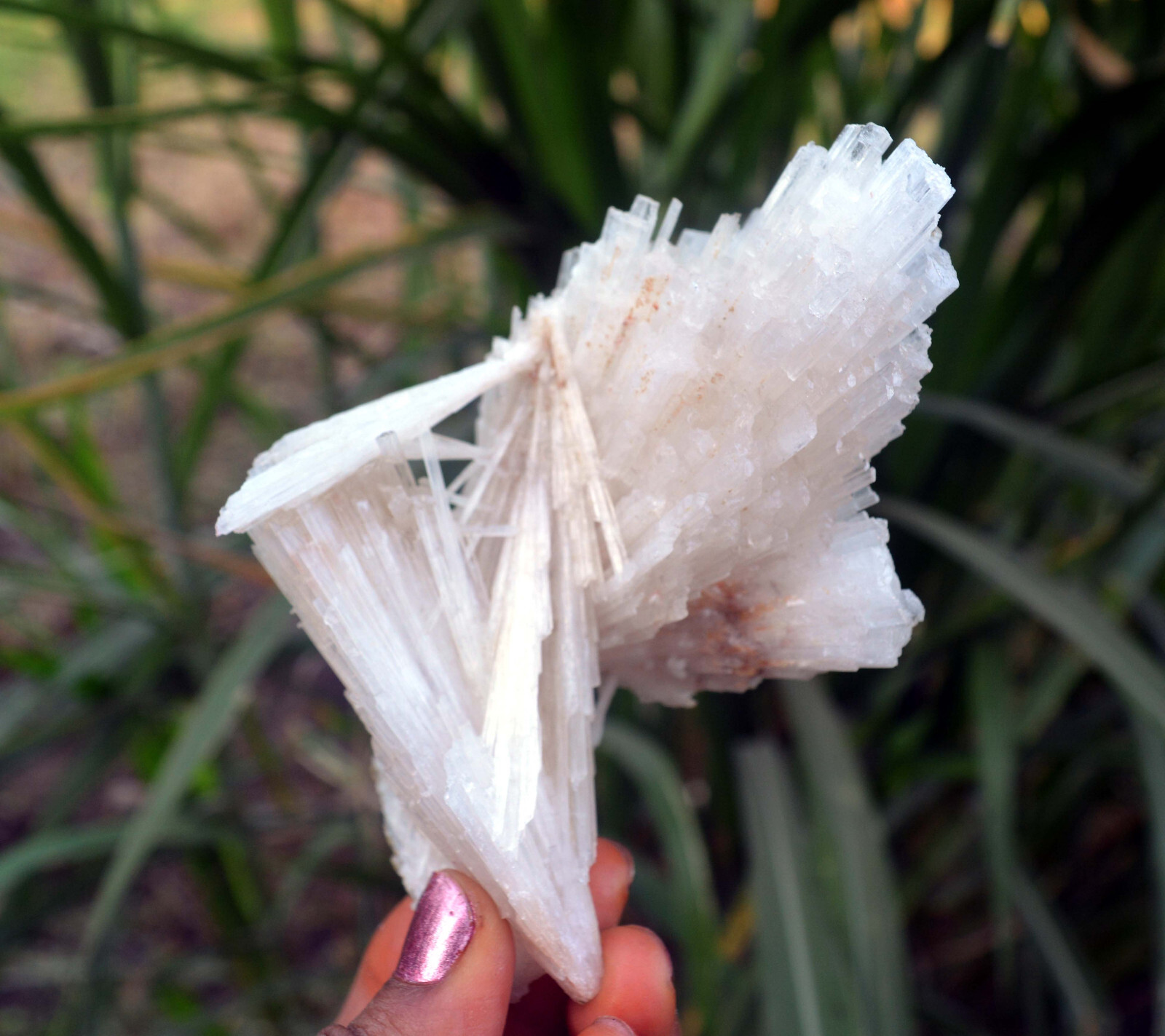 scolecite spray fromation minerals specimen j-6
