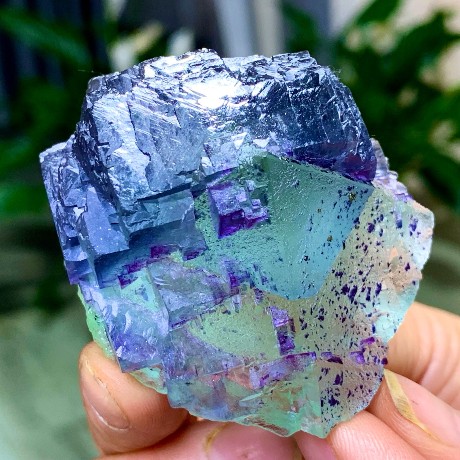 123G Rare transparent green purple cubic Zhejiang fluorite mineral sample