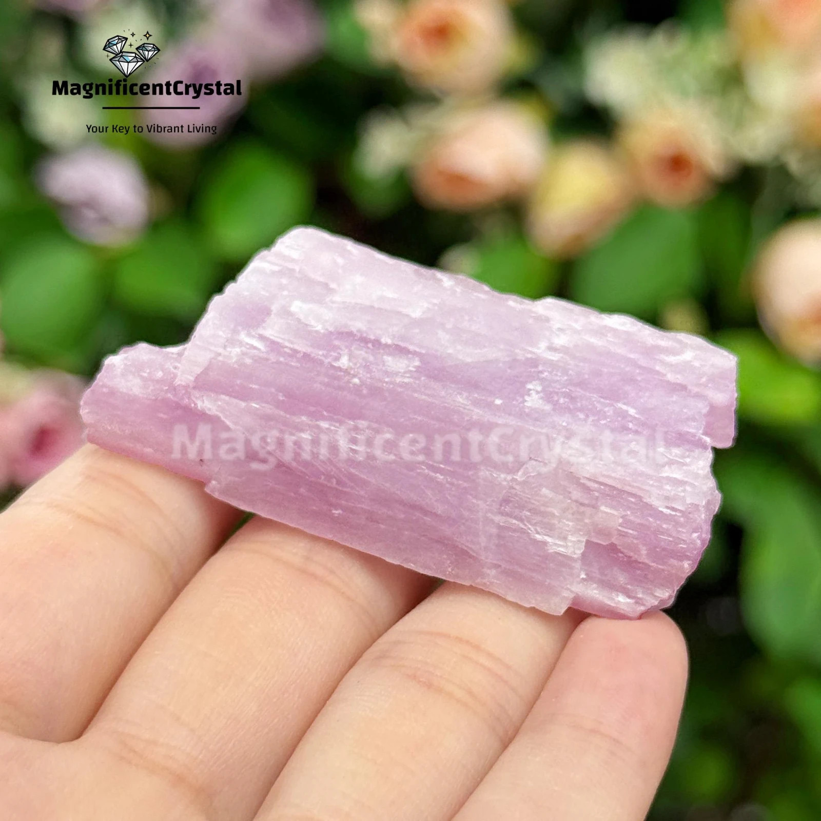 3pcs Genuine Kunzite Crystal Stone Purple Natural Mineral Specimens Healing Deco