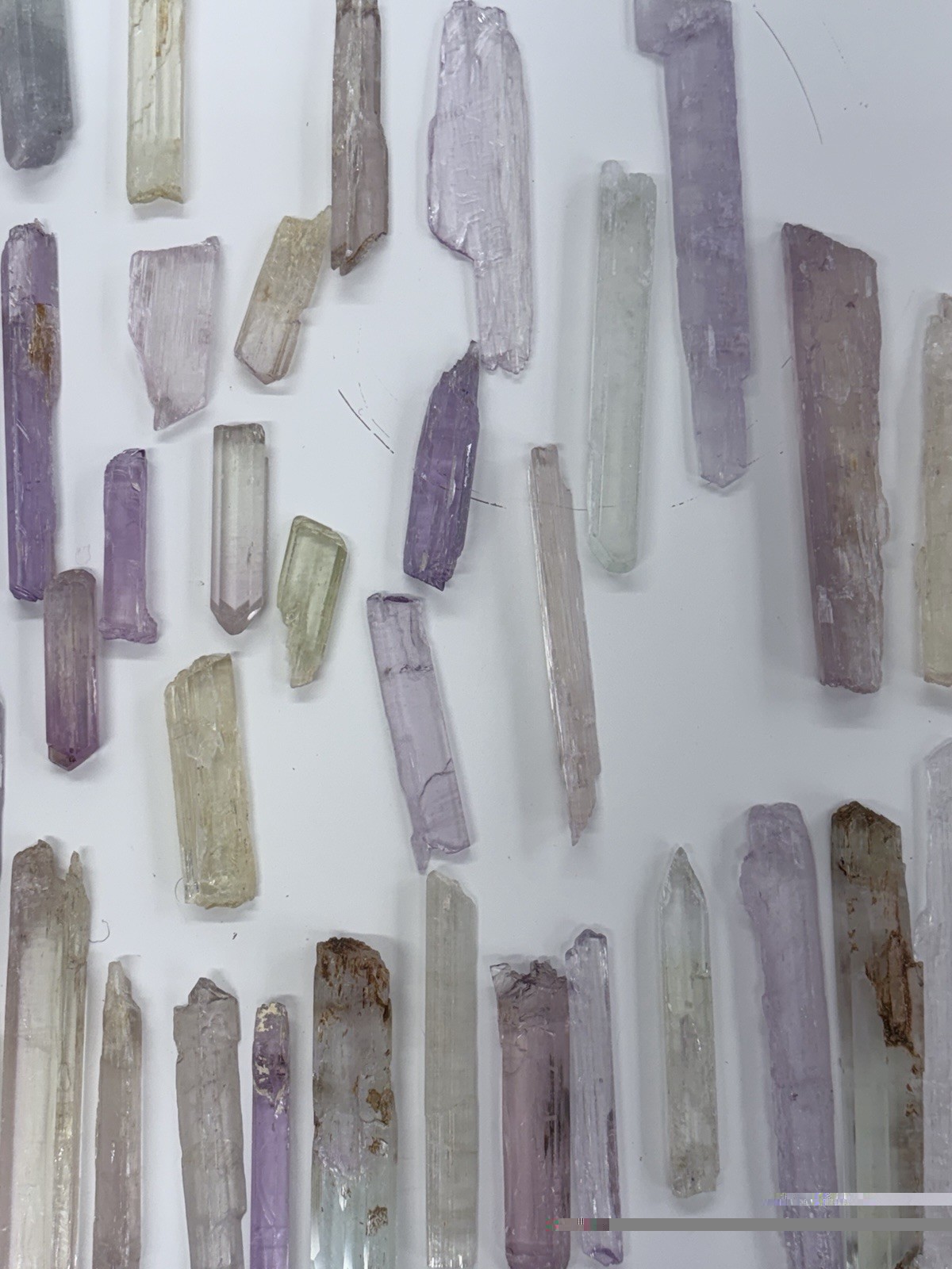 Exceptional Lot of Kunzite From Pakistan – includes bicolor and tricolor 4lb 6oz