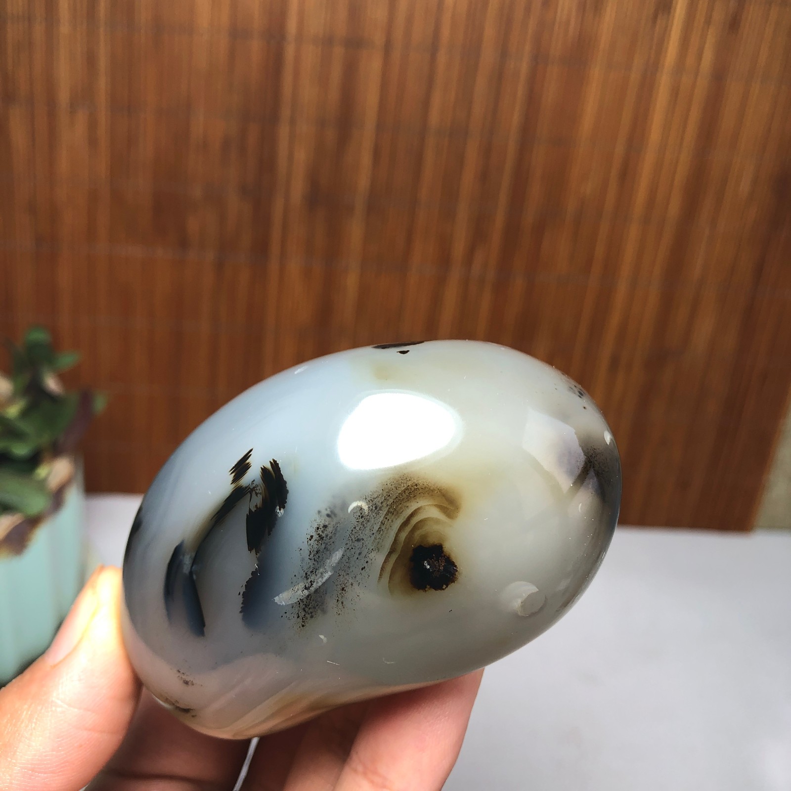 72mm Natural aquatic plants agate pretty Crystal specimens 167g A9995