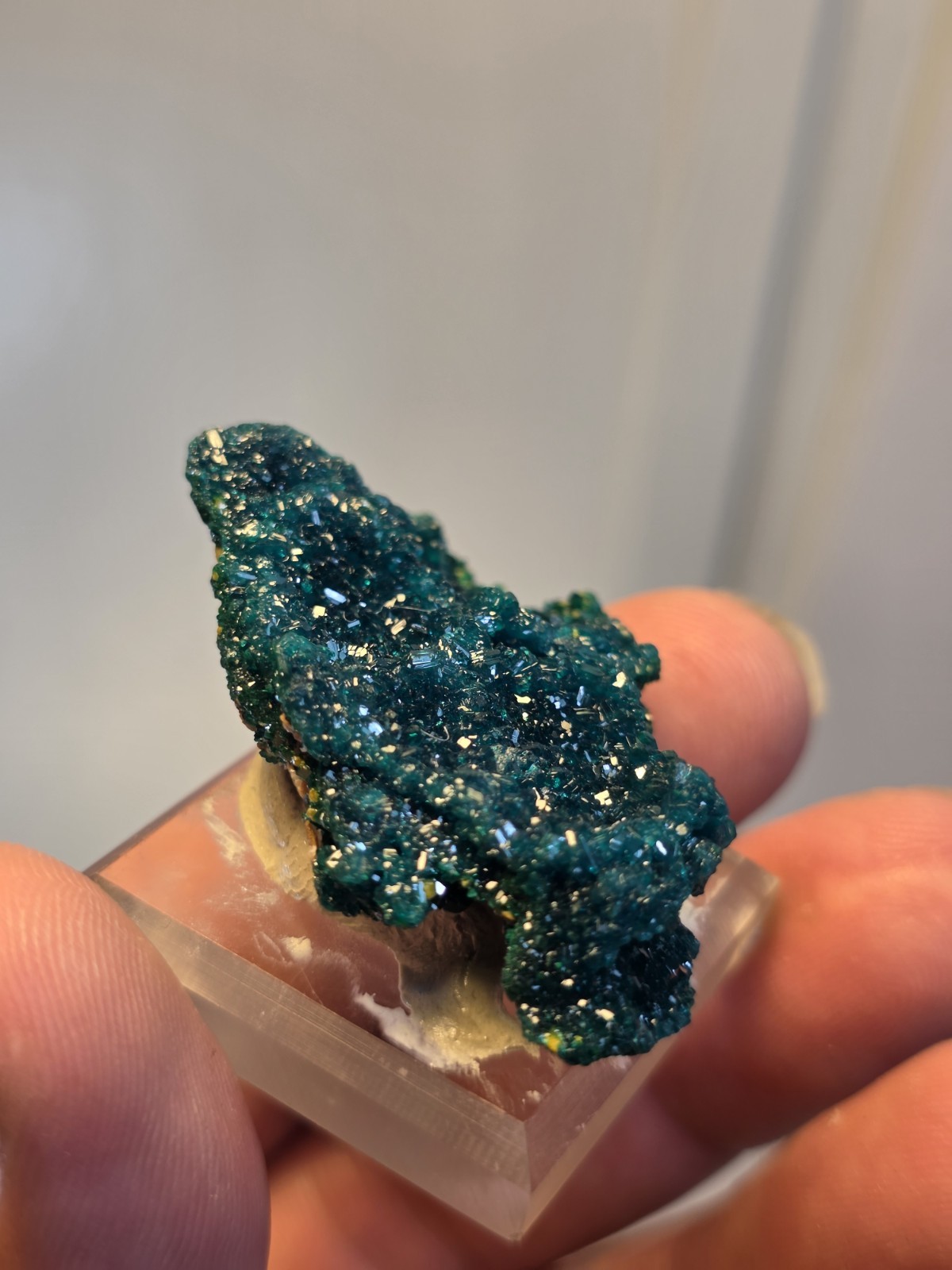 DIOPTASE w/ Wulfinite Crystal Mineral Specimen Cluster Green CONGO AFRICA 4.5 cm
