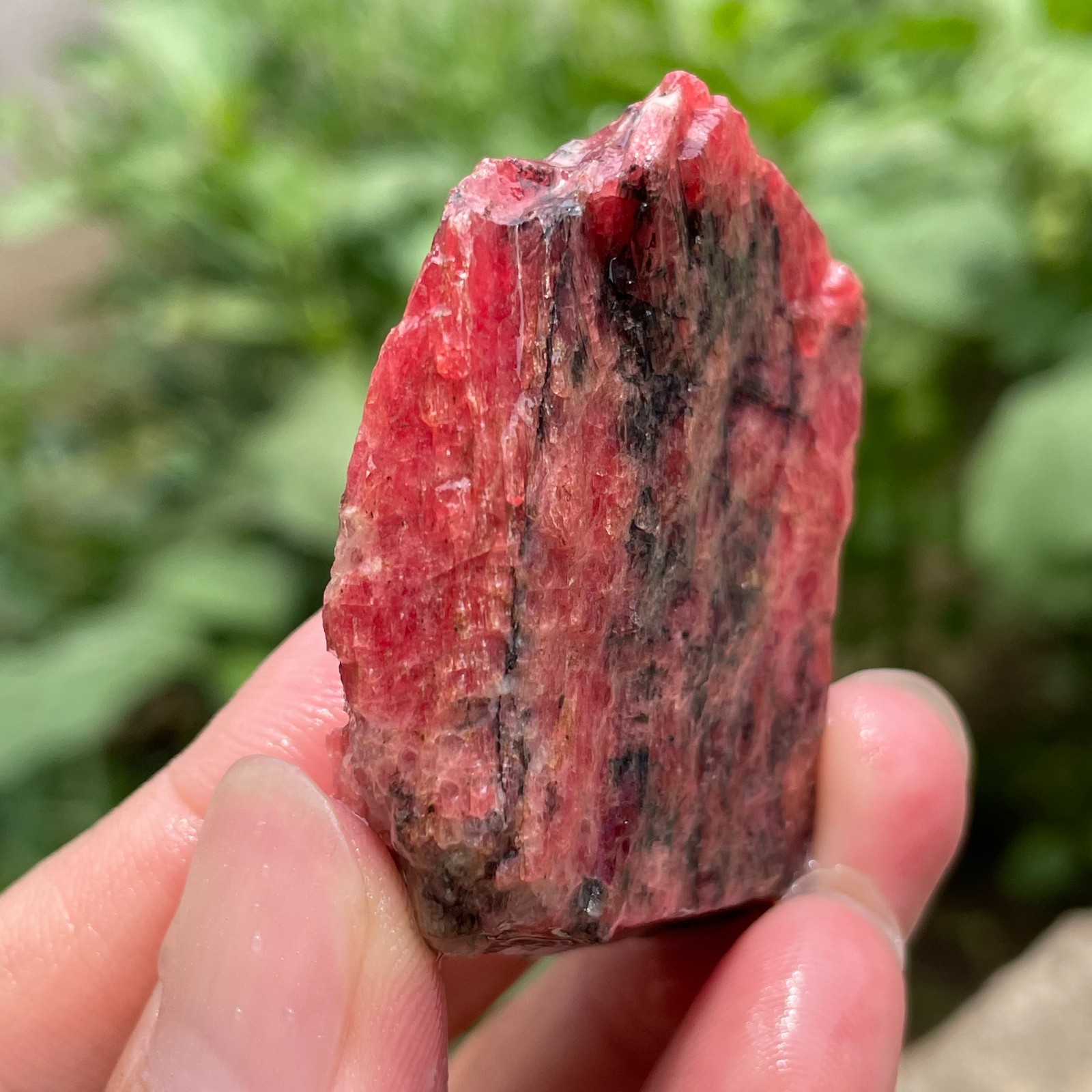 74g Small Raw Ore Red Black Rhodonite Quartz Gemstone Mineral Specimen