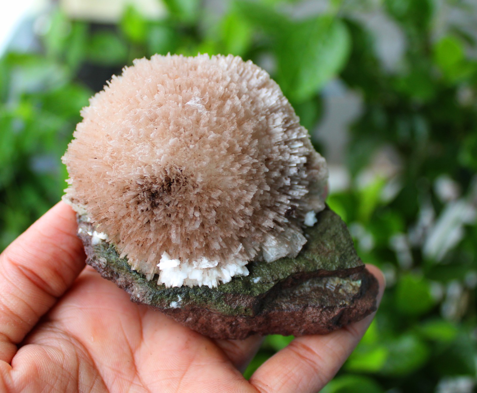 SCOLECITE ON MATRIX MINERALS SPECIMEN