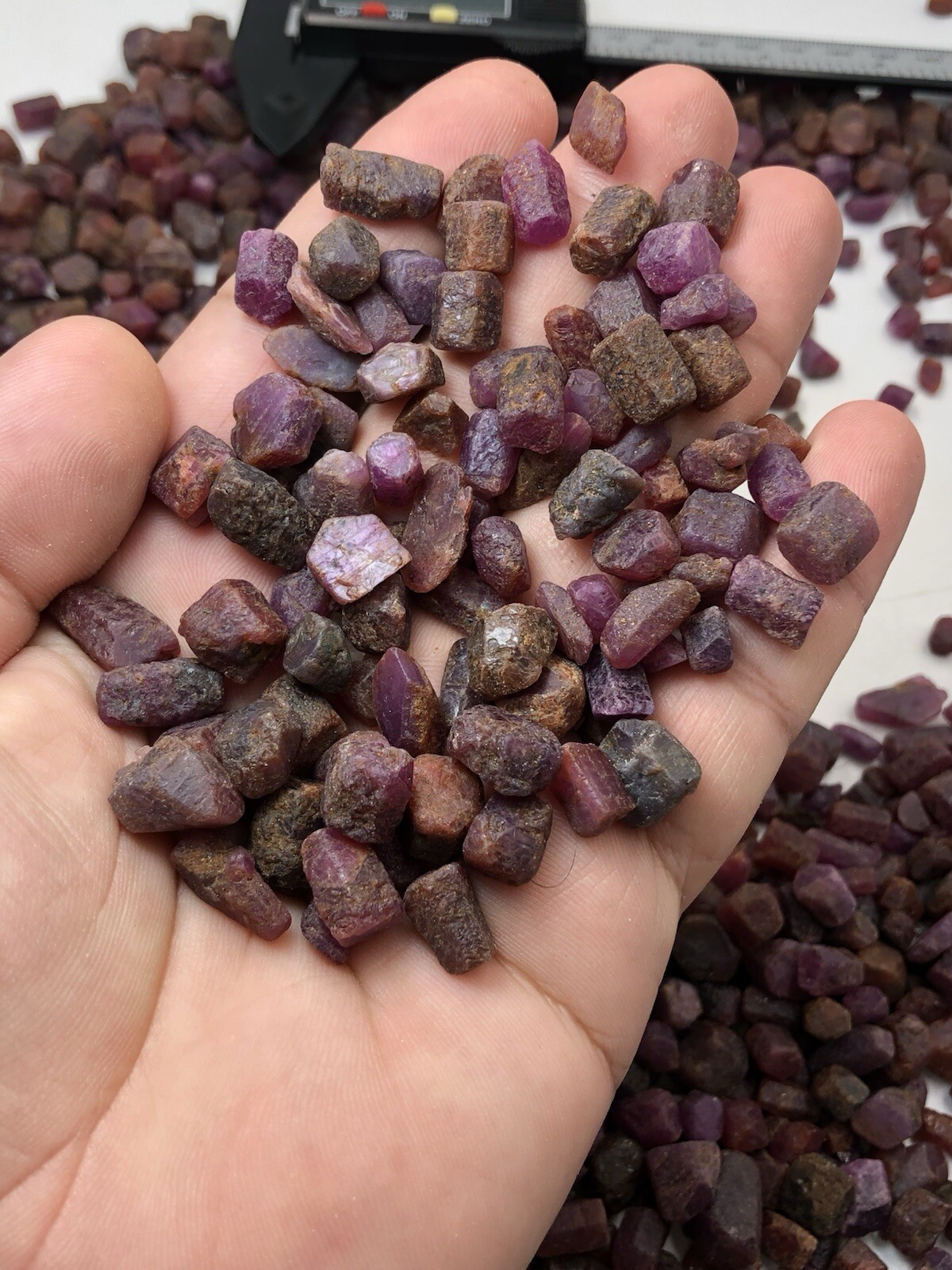 1000 Gram( 1kg)Natural Ruby Crystal Selection Parcels Ready for fancy Jewellery,