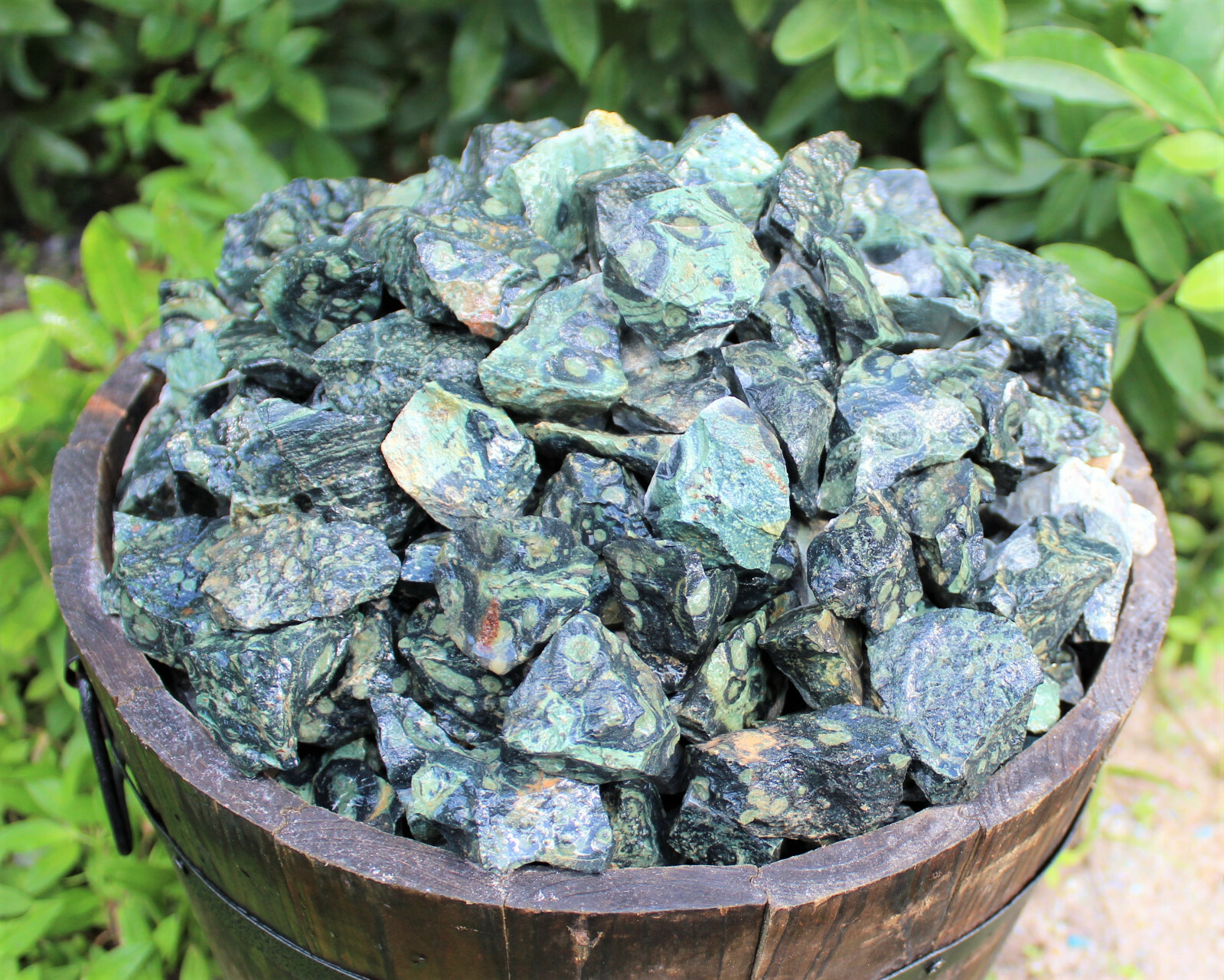 Kambaba Jasper Rough Natural Stones Bulk Wholesale Lots (Raw Crocodile Jasper)