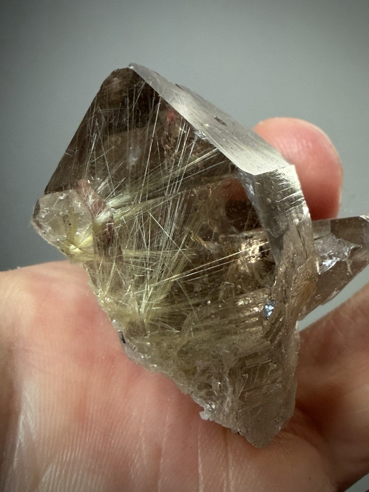 Rutilated Quartz Crystal Gold Rutile Inclusion Quartz Druzy Quartz Brazil