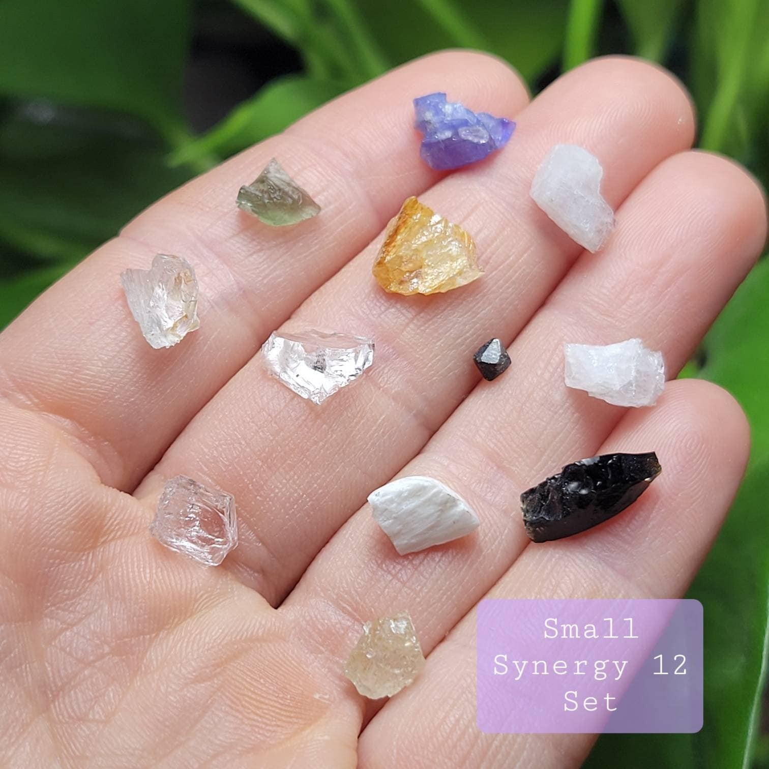 Synergy 12 Pendant, Set of 12 Rare Crystals
