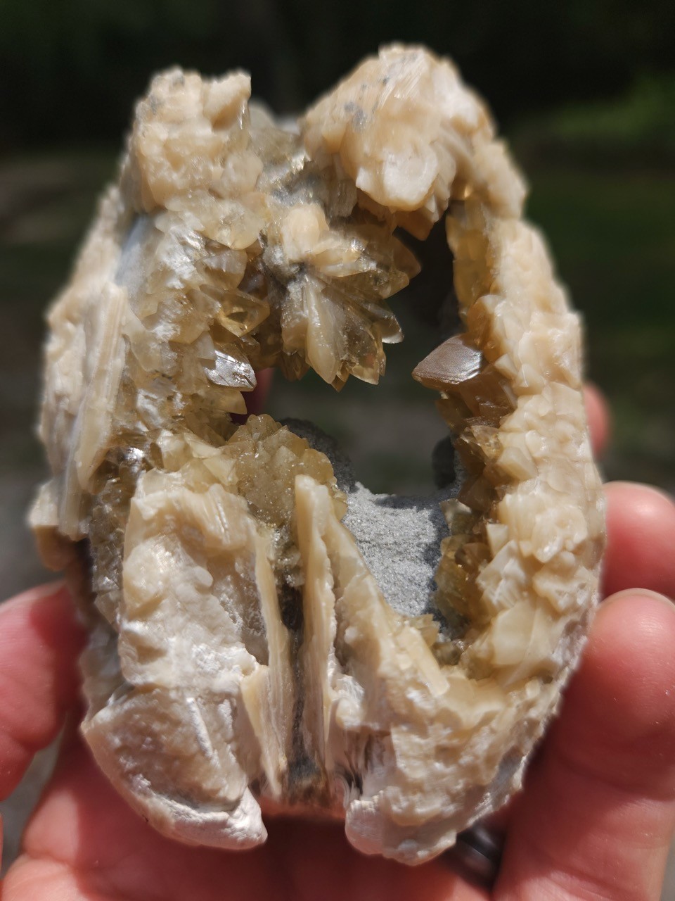 PAIR Calcite Crystal WHELK AND CLAM Shell Fossil Rucks Pit Florida dogtooth UV