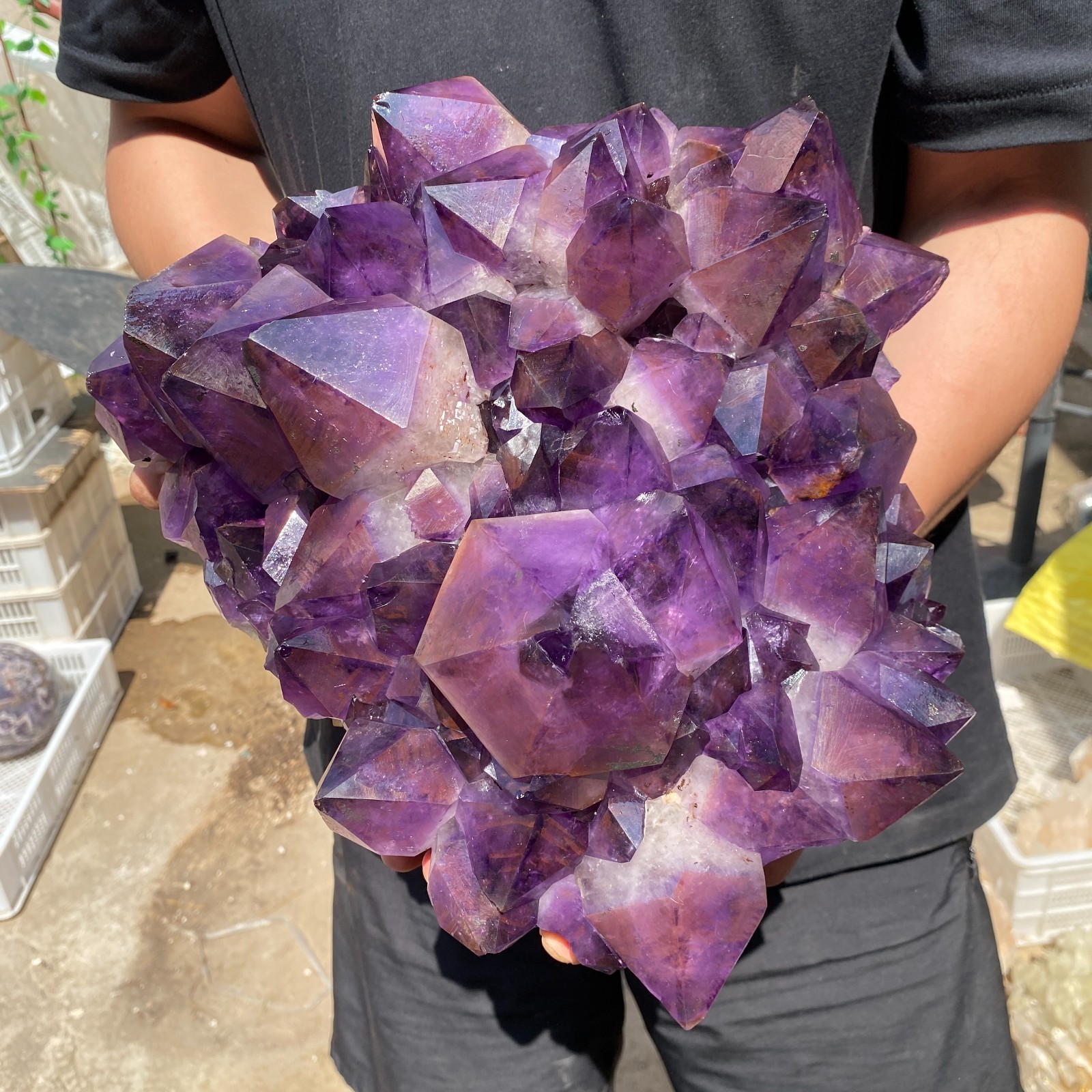 26.2lb Natural Amethyst geode quartz cluster crystal specimen Healing