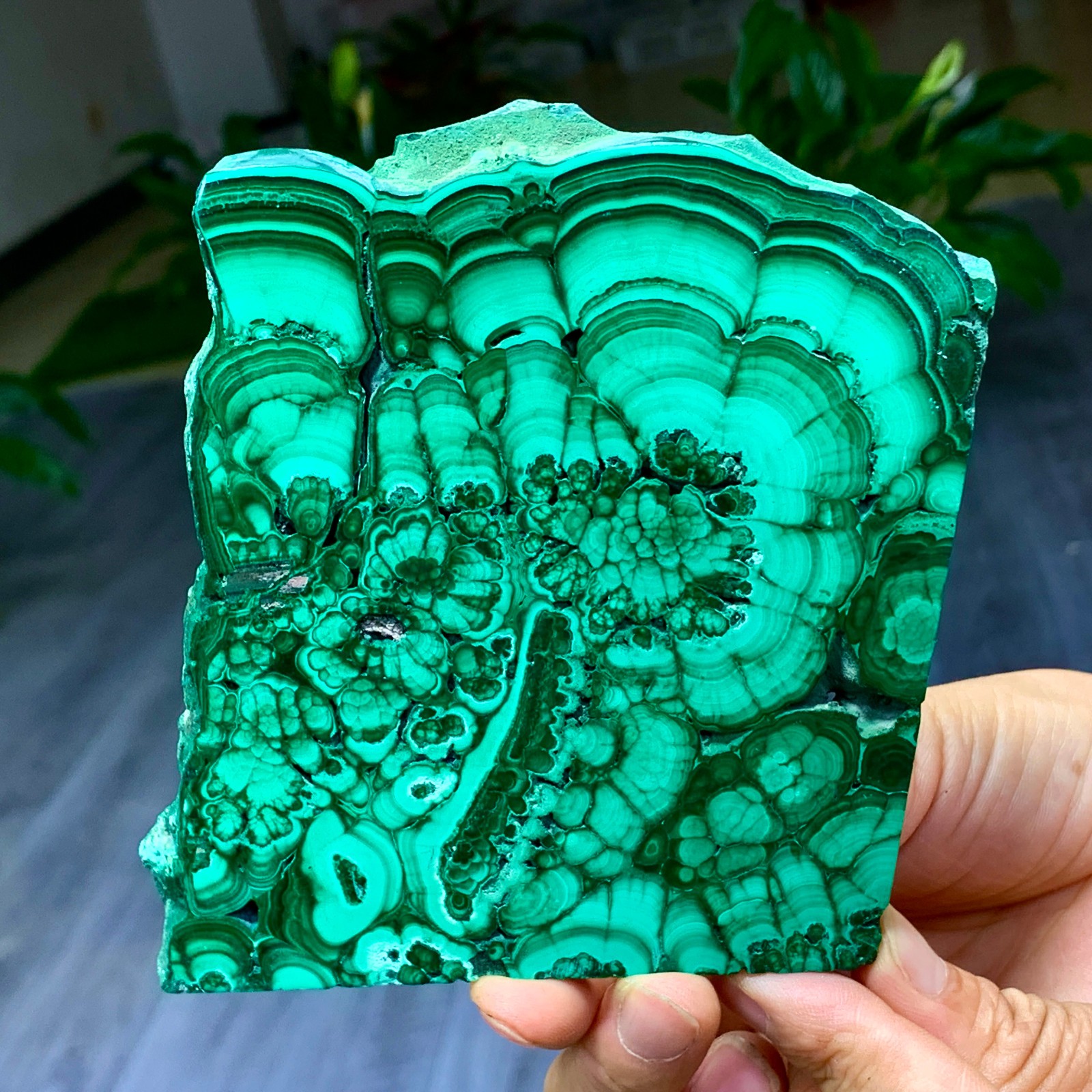 290G Natural glossy Malachite transparent cluster rough mineral sample