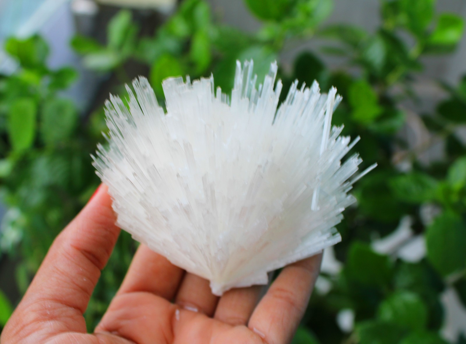 SCOLECITE FORMATION MINERALS SPECIMEN