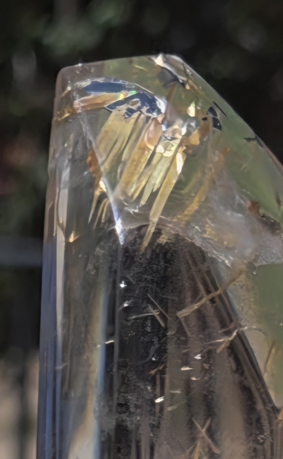 Clear Quartz Natural Point Crystal Polished Specimen w/ Golden Rutile Inclusions