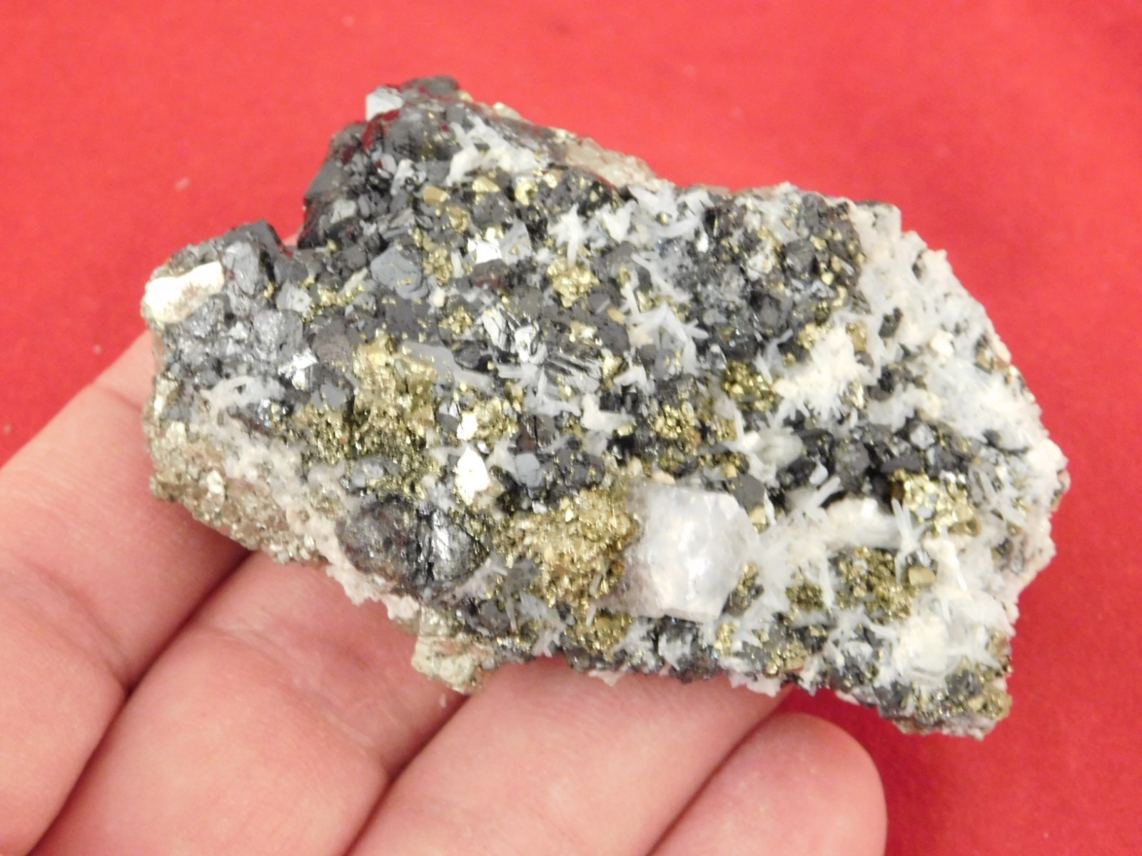 Sphalerite Crystal Cluster with Chalcopyrite Calcite and Pyrite 116gr