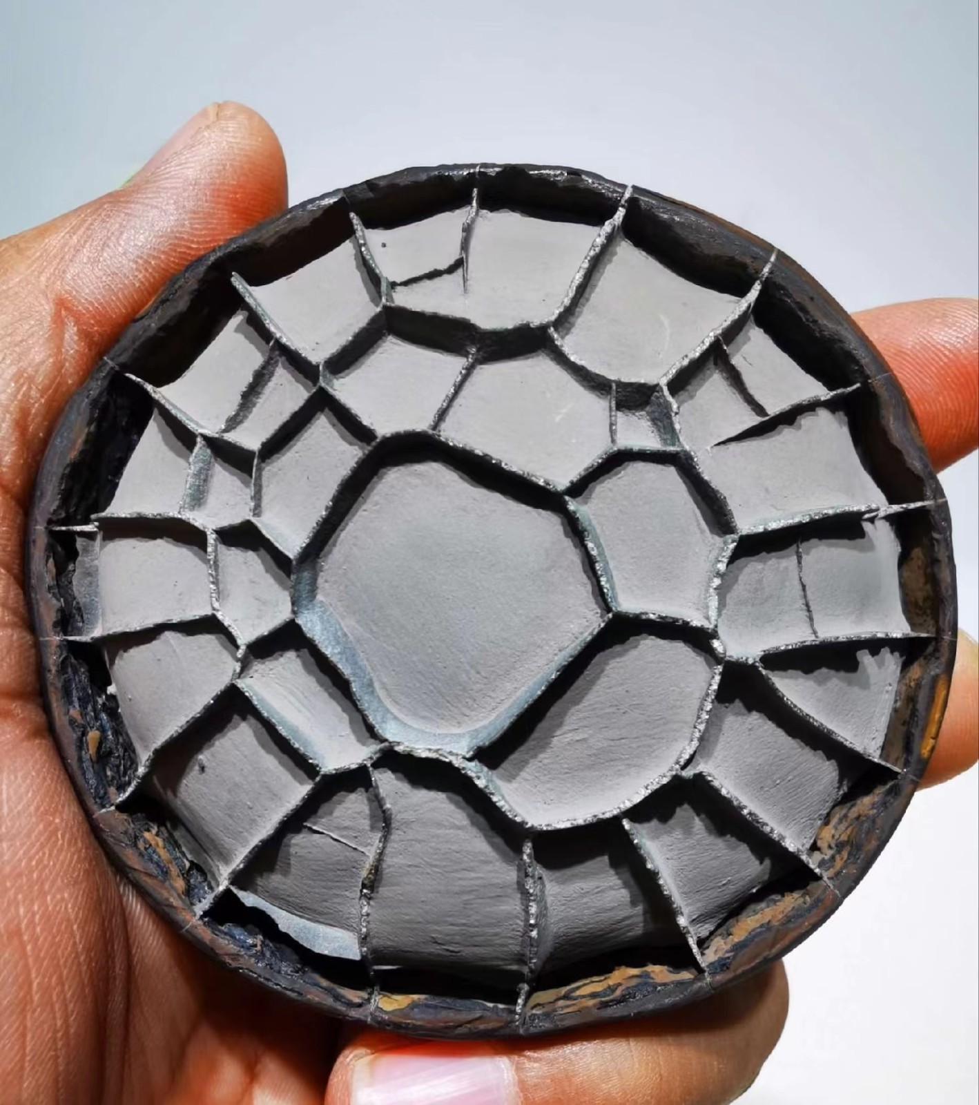 44g rare Natural tortoise back pattern stone Moire stone Specimen