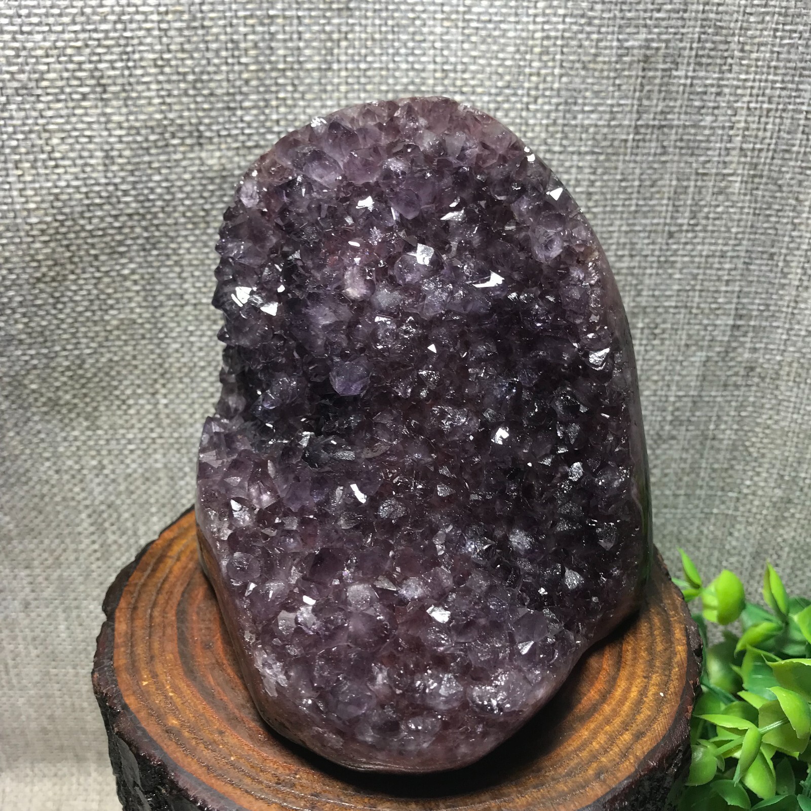 821g Natural Amethyst Cluster Geodes Cut Base Quartz Crystal Healing Specimen 32