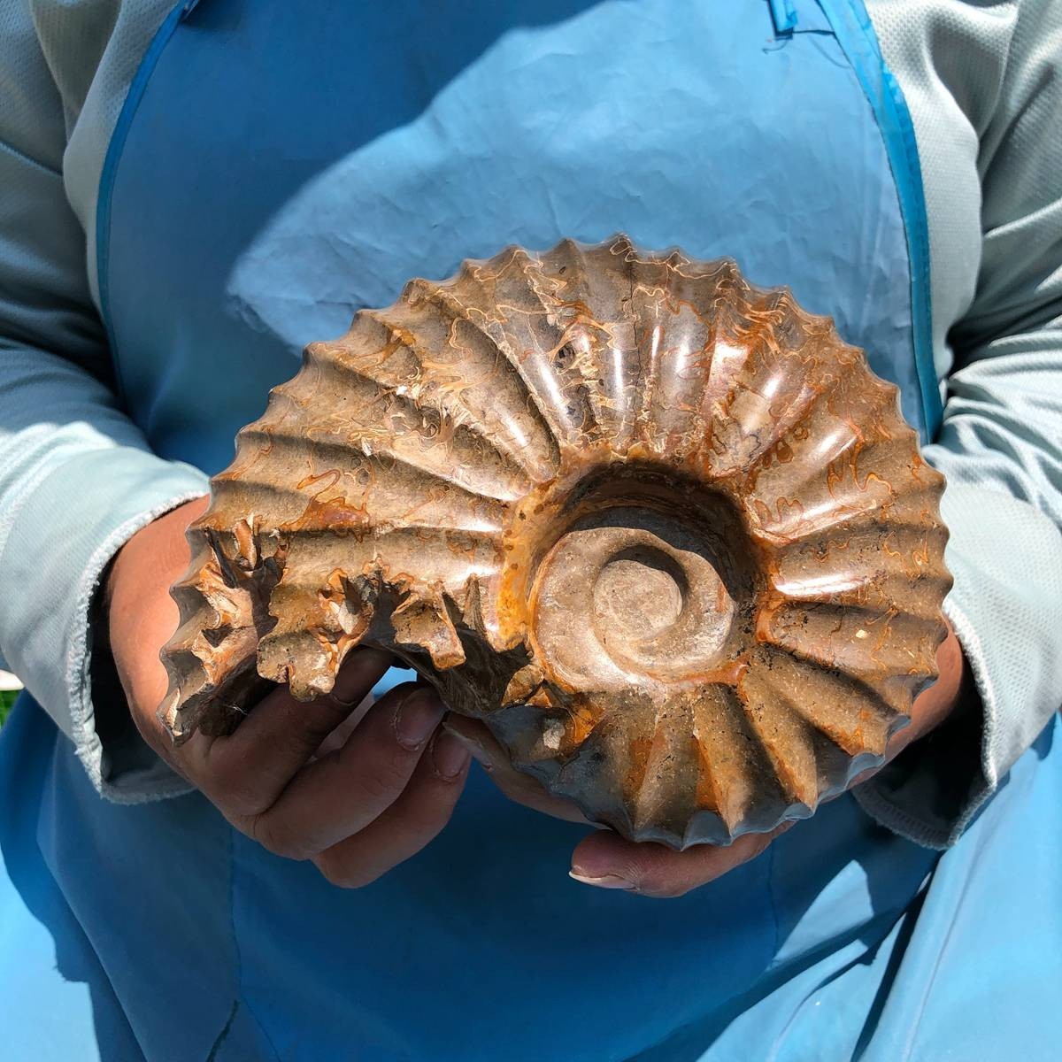 4.04LB Natural Beautiful Ammonite Fossil Conch Crystal Specimen Healing 5395