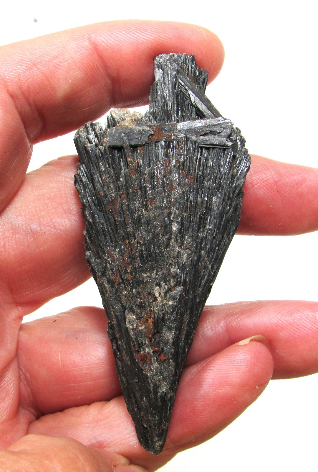 Black Kyanite Blade / Wing from Brazil Mica and Quartz Attached Celtic Cross