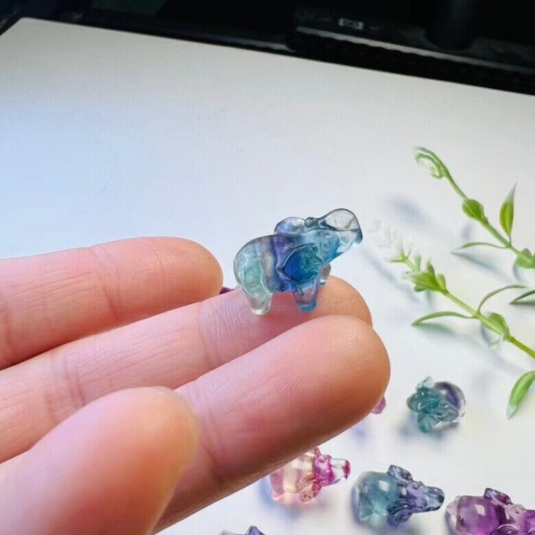 5pc Natural fluorite carved mini elephantquartz crystal reiki healing Gem decor