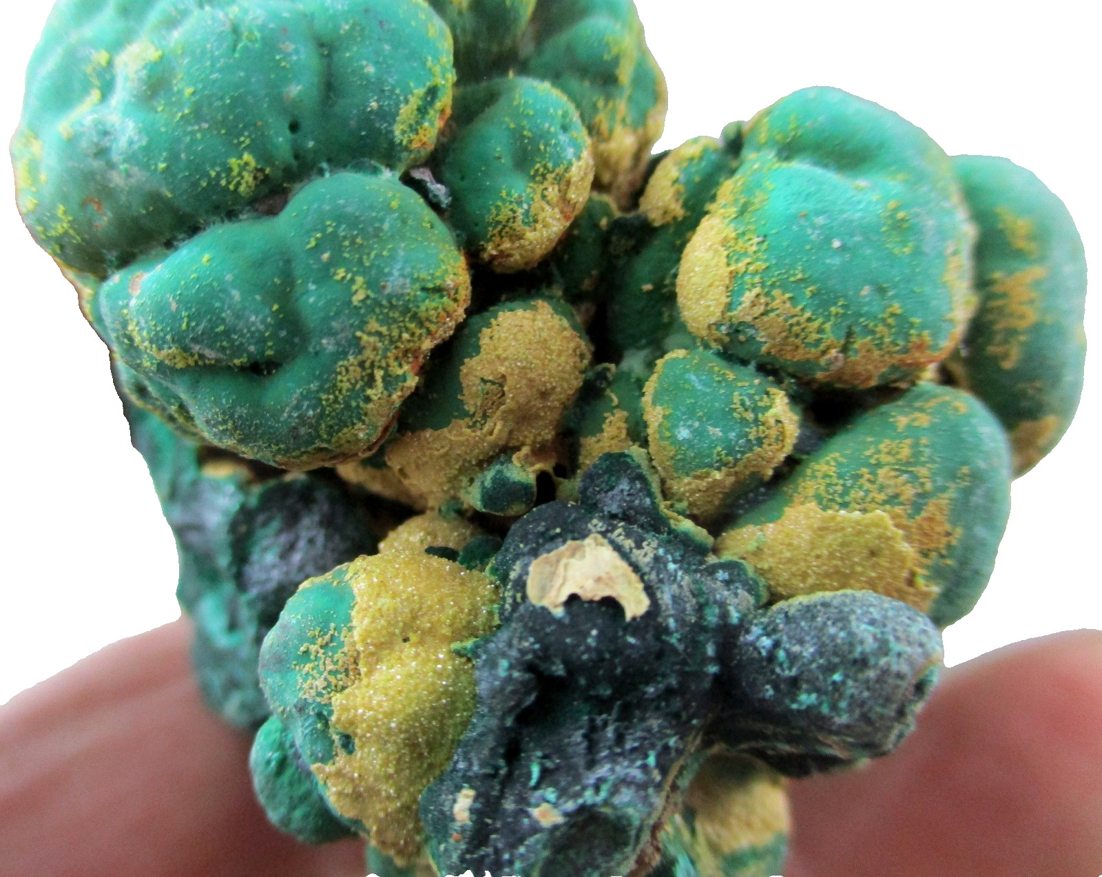malachite, rum jungle, NT, mineral specimen