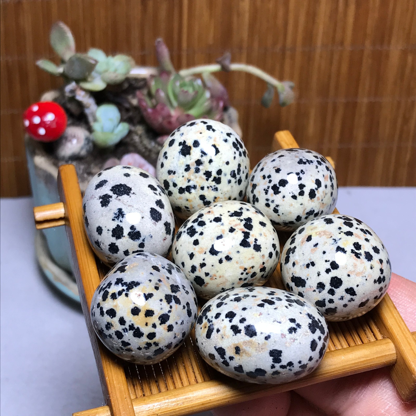 25-22-22mm 7Pcs Natural spotted stone Crystal gemstone Mineral Specimen A4408