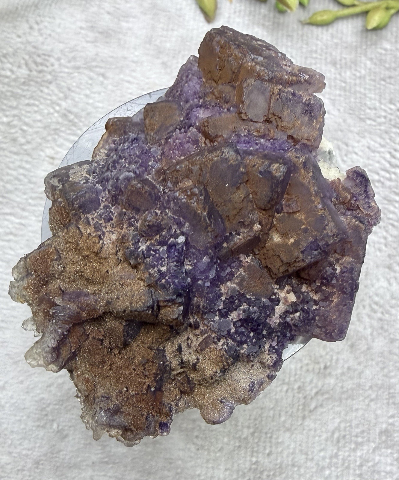 Crystal 58g Natural Coated Purple Window Cube Fluorite Specimen Mineral