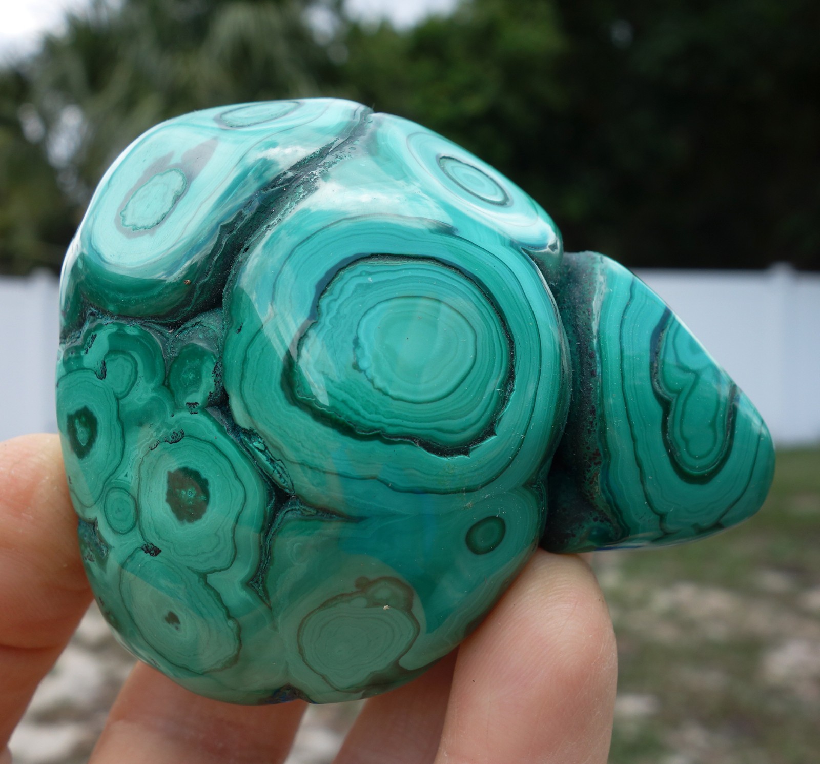 Green MALACHITE Bullseyes Nodule Specimen Crystal Congo South Africa For Sale