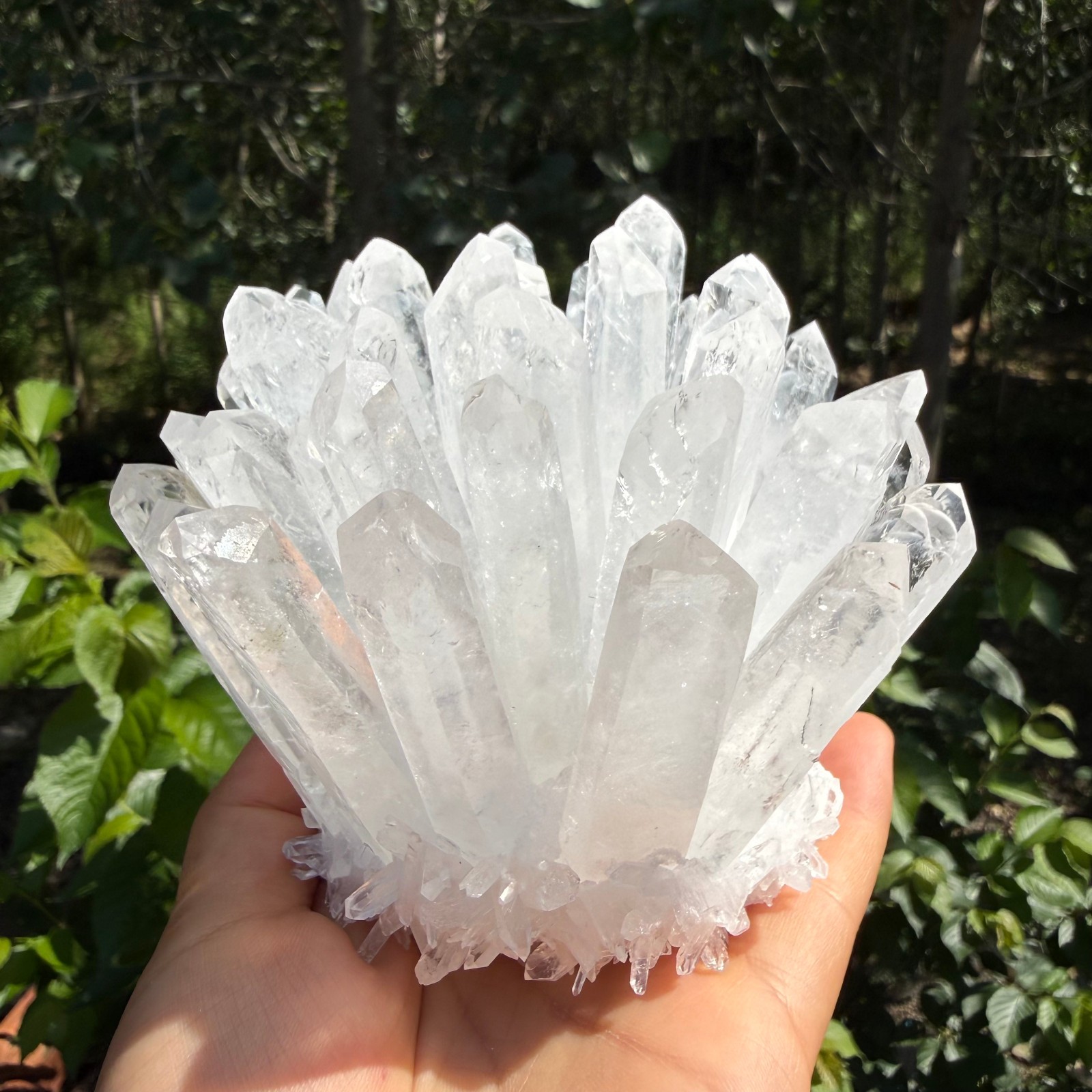 2.2LB Large Natural White Clear Quartz Cluster Crystal Mineral Healing 1pc