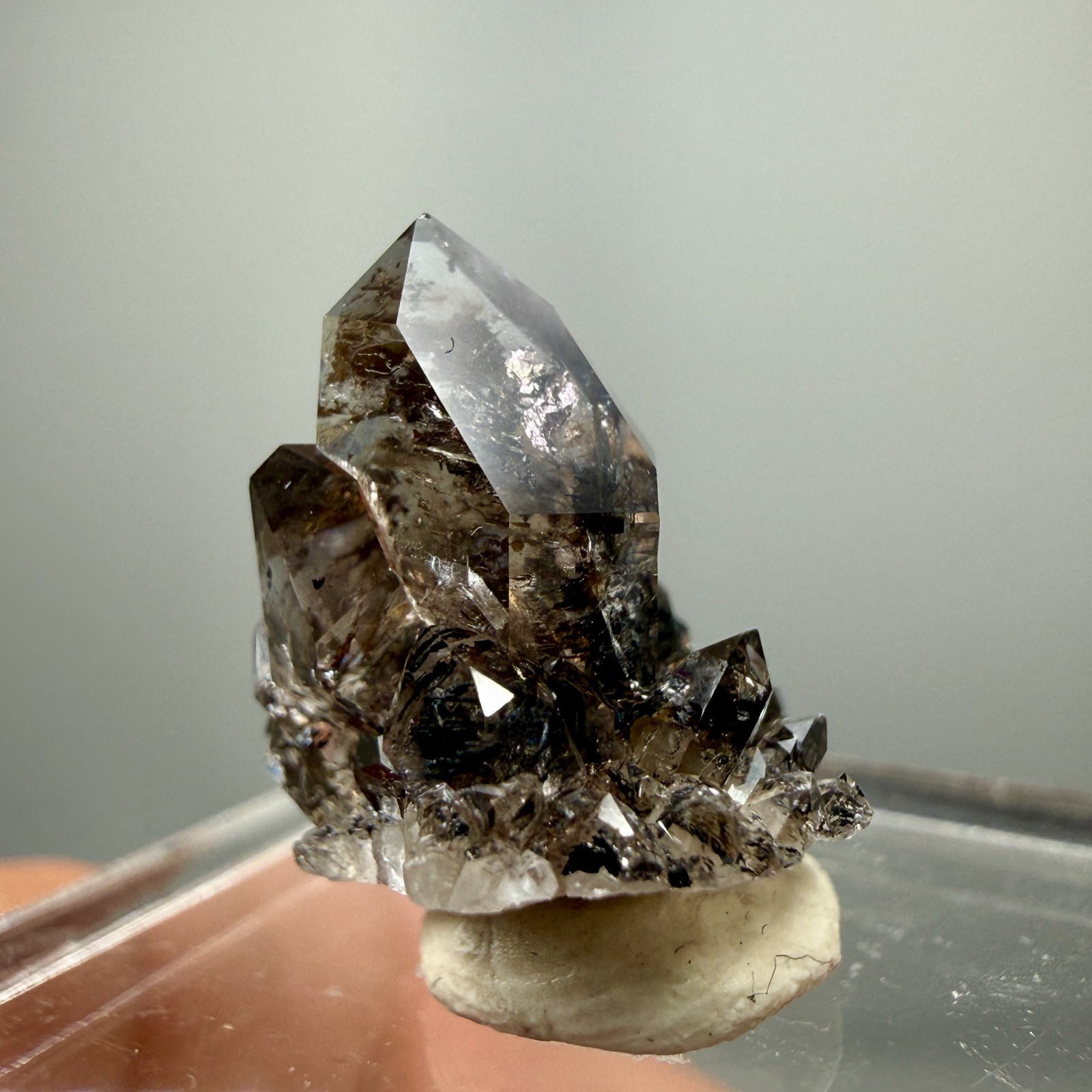 Herkimer Diamond Perched on Rare Black Druze, Gem Points w/ Phantoms