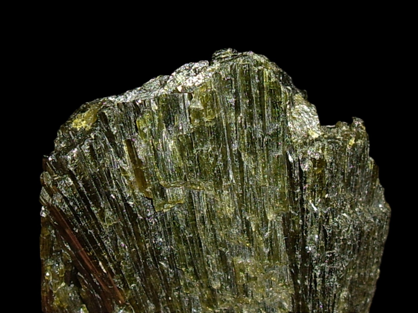 Fine Epidote Spray Terminated Crystal Cluster 45.5g