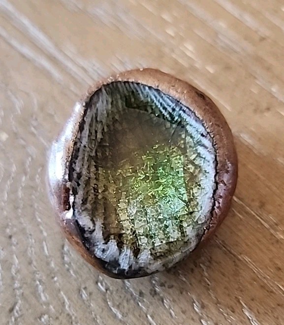 Fossilized Sea Shell Rock Green Crystals Preserved With Clear Coating